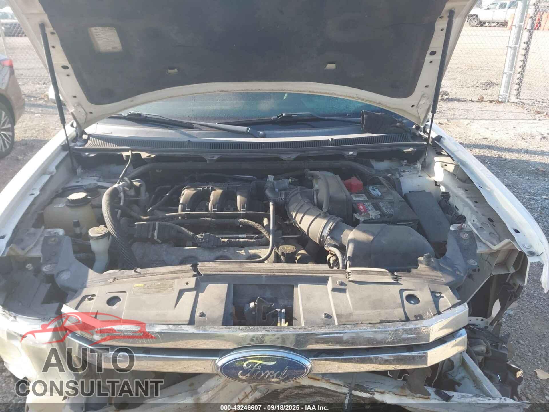 FORD FLEX 2009 - 2FMEK62C29BA15620