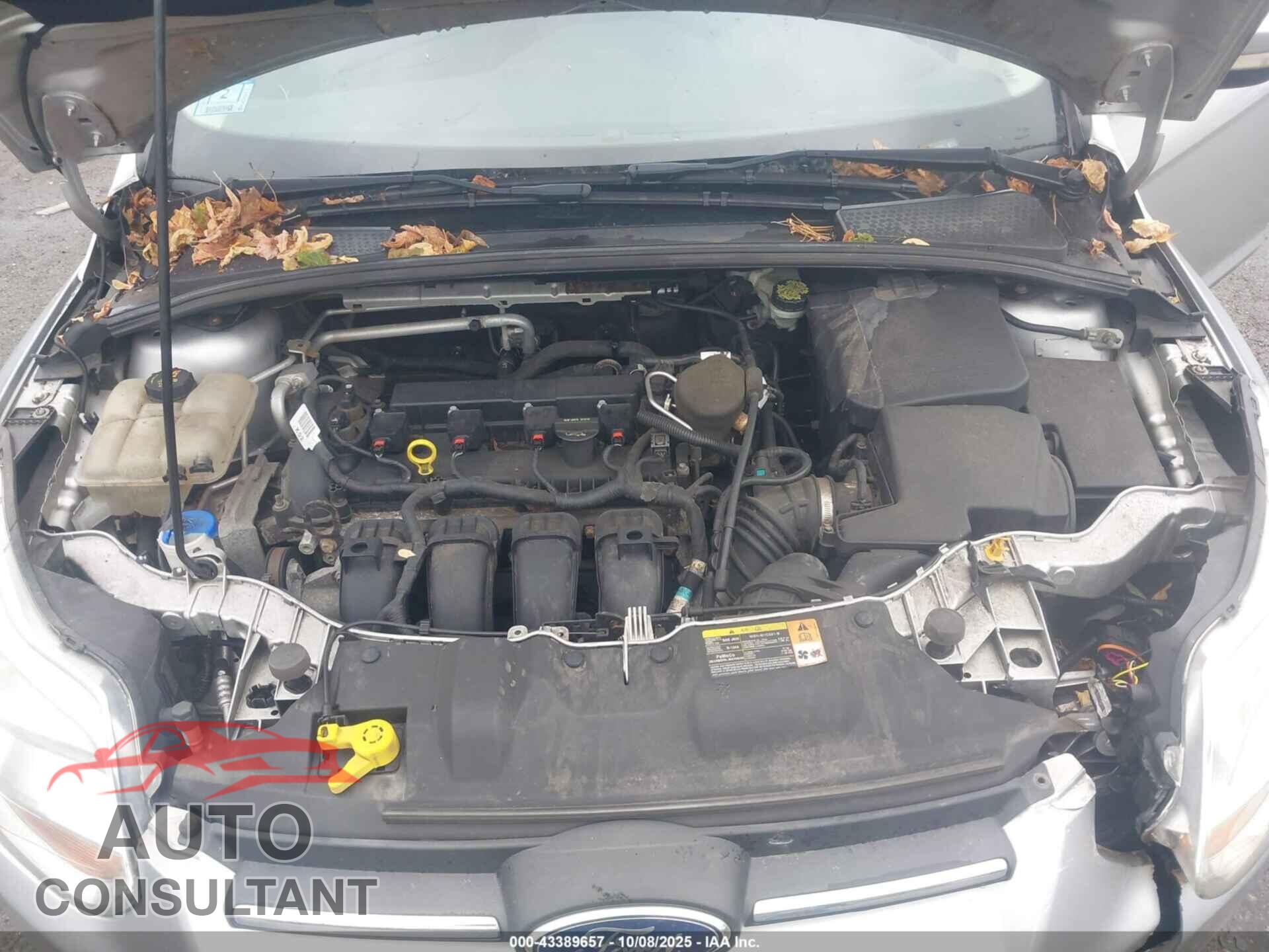 FORD FOCUS 2014 - 1FADP3F2XEL124537