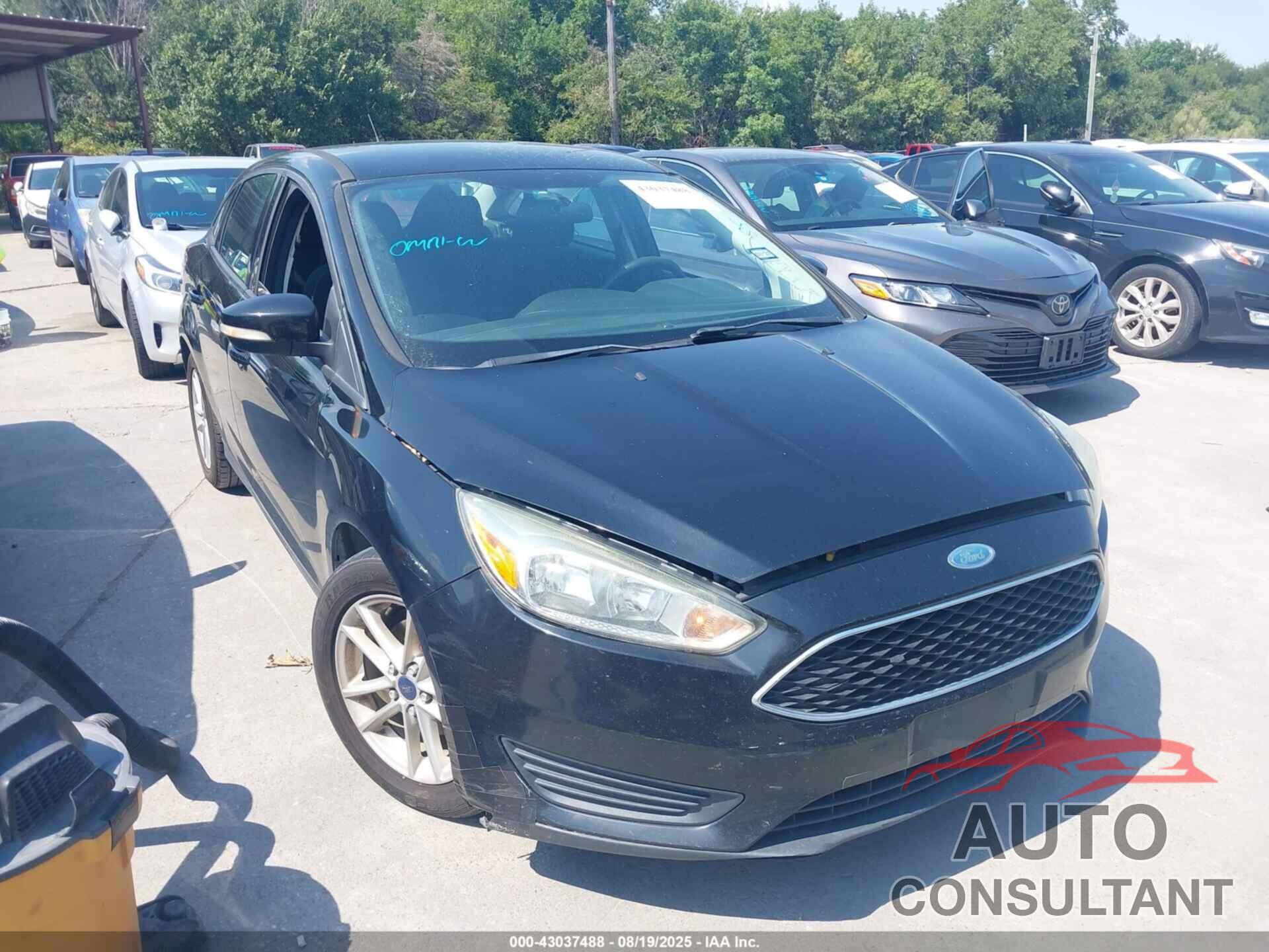 FORD FOCUS 2016 - 1FADP3F27GL319028