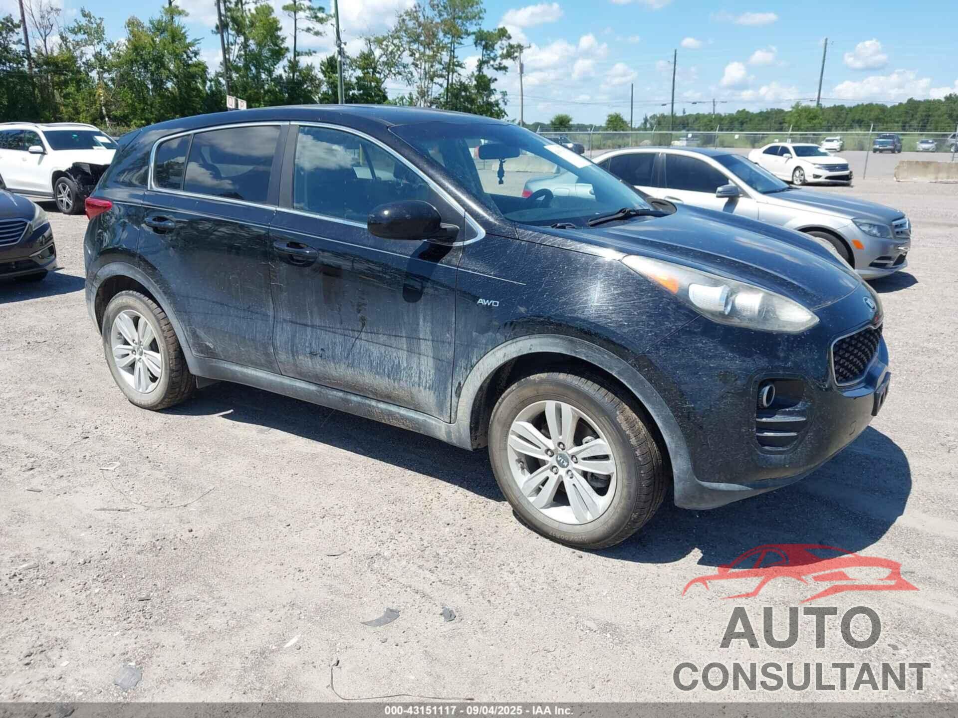 KIA SPORTAGE 2017 - KNDPMCAC2H7116493