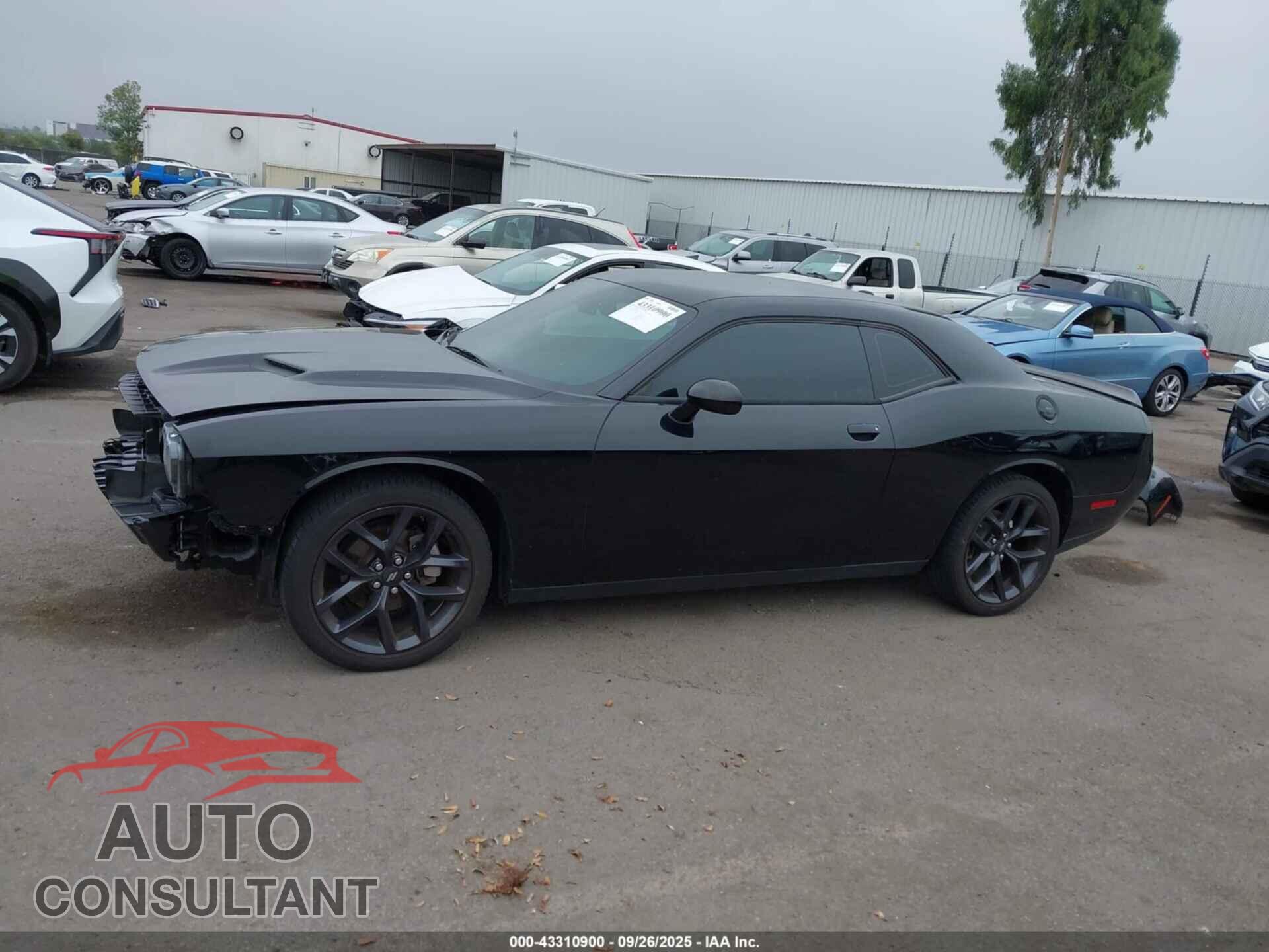 DODGE CHALLENGER 2023 - 2C3CDZAG0PH507718