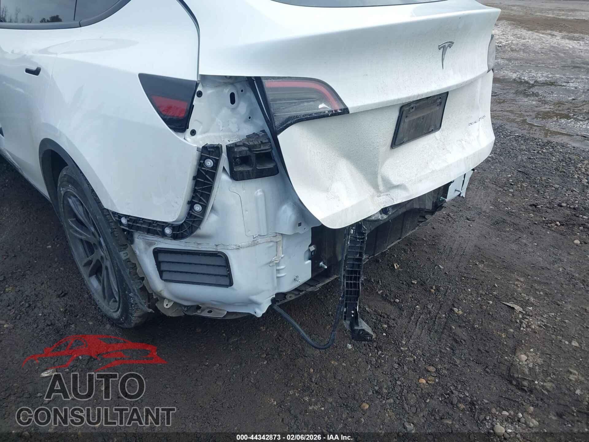 TESLA MODEL Y 2024 - 7SAYGAEE1RF201190