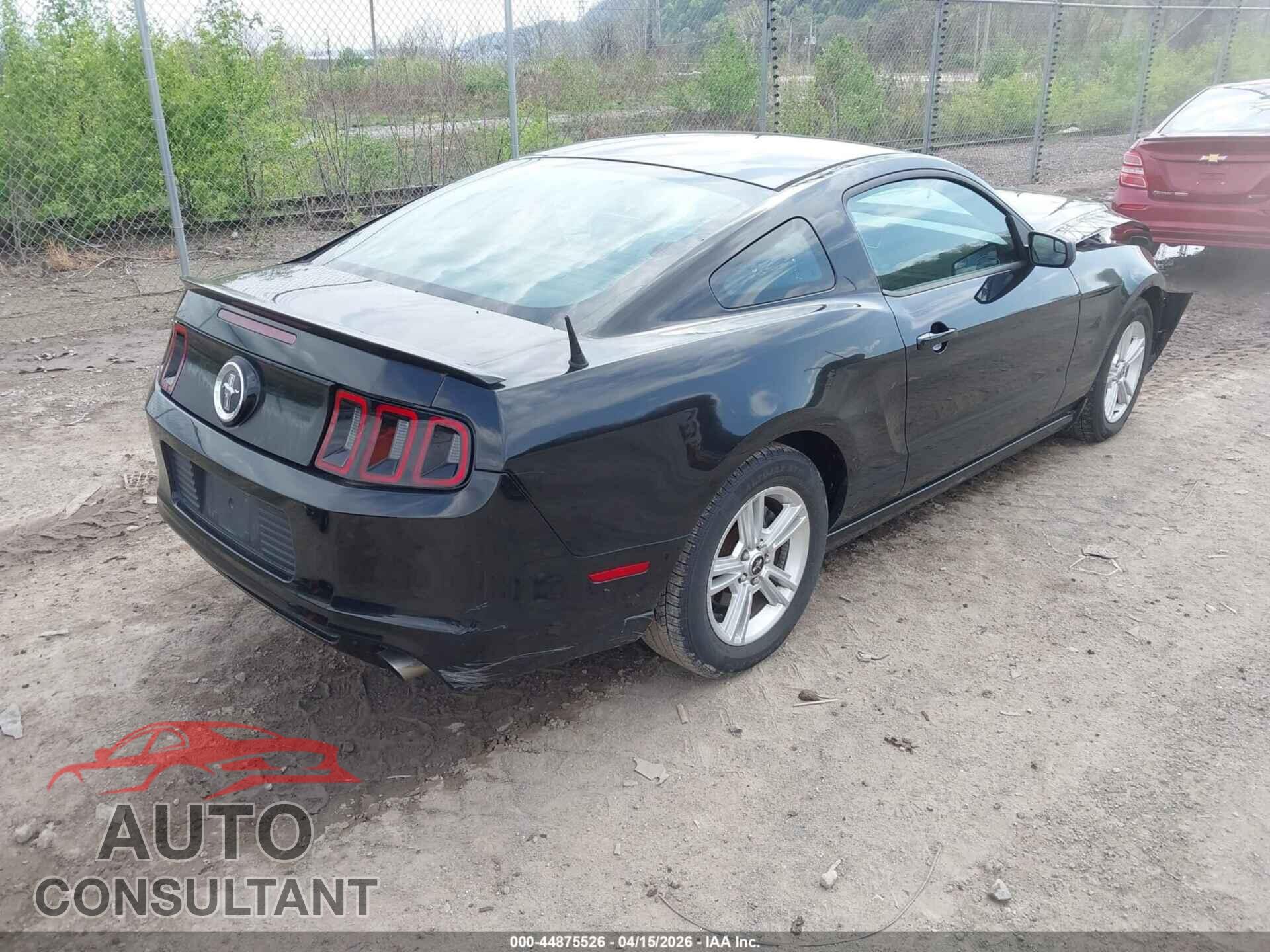 FORD MUSTANG 2013 - 1ZVBP8AM8D5202546