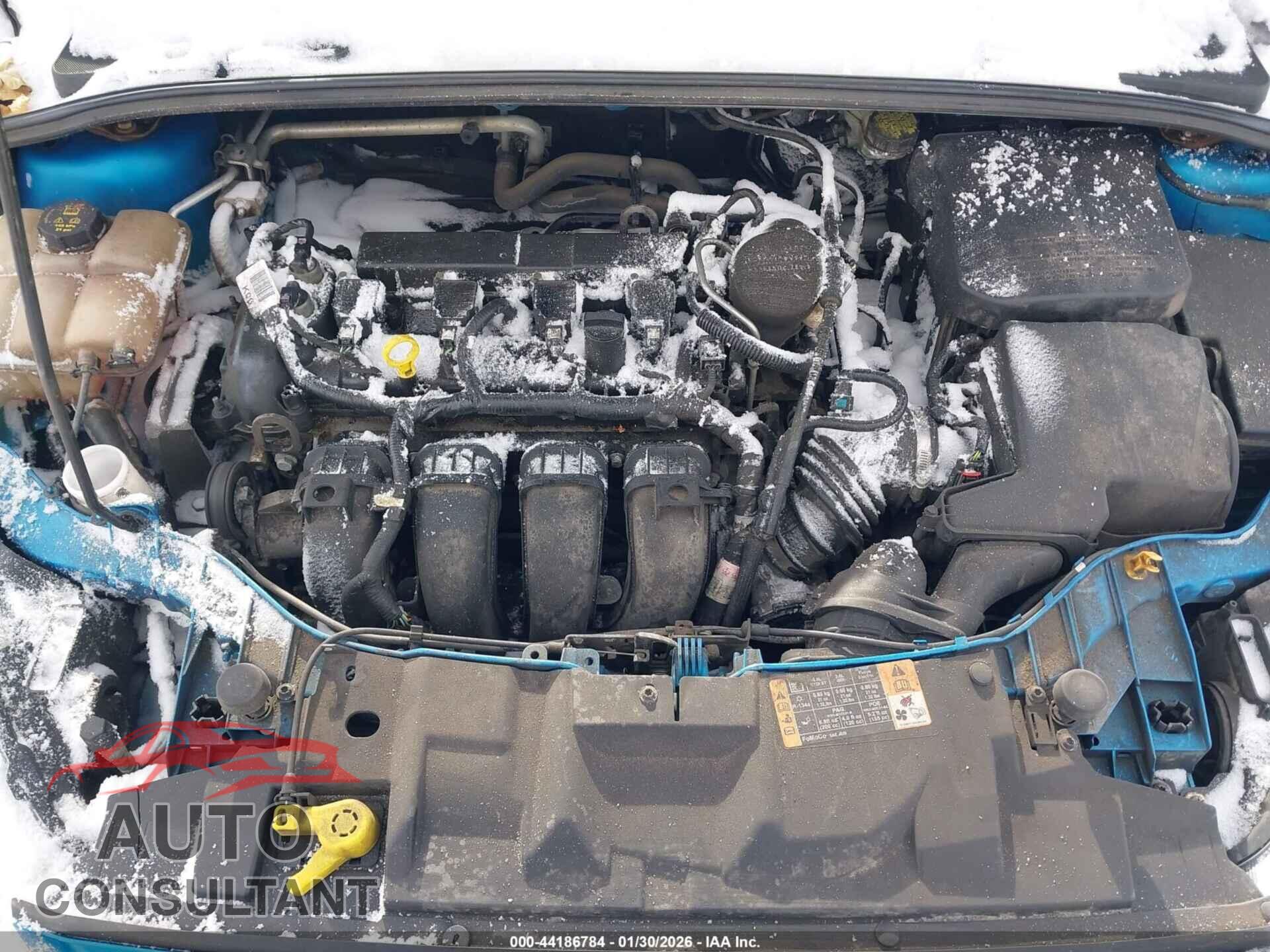 FORD FOCUS 2016 - 1FADP3F28GL304098