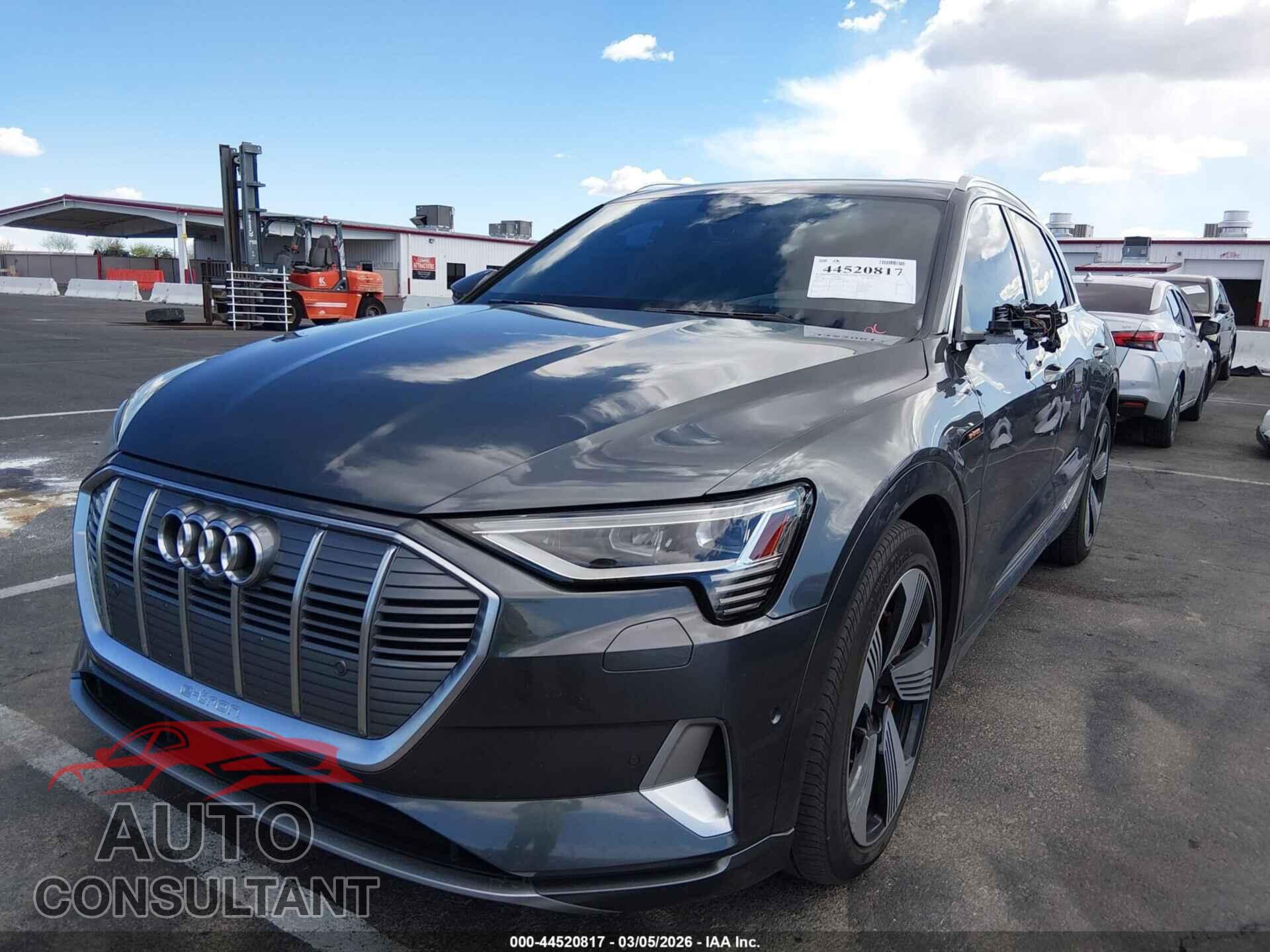 AUDI E-TRON 2019 - WA1VAAGE3KB008377