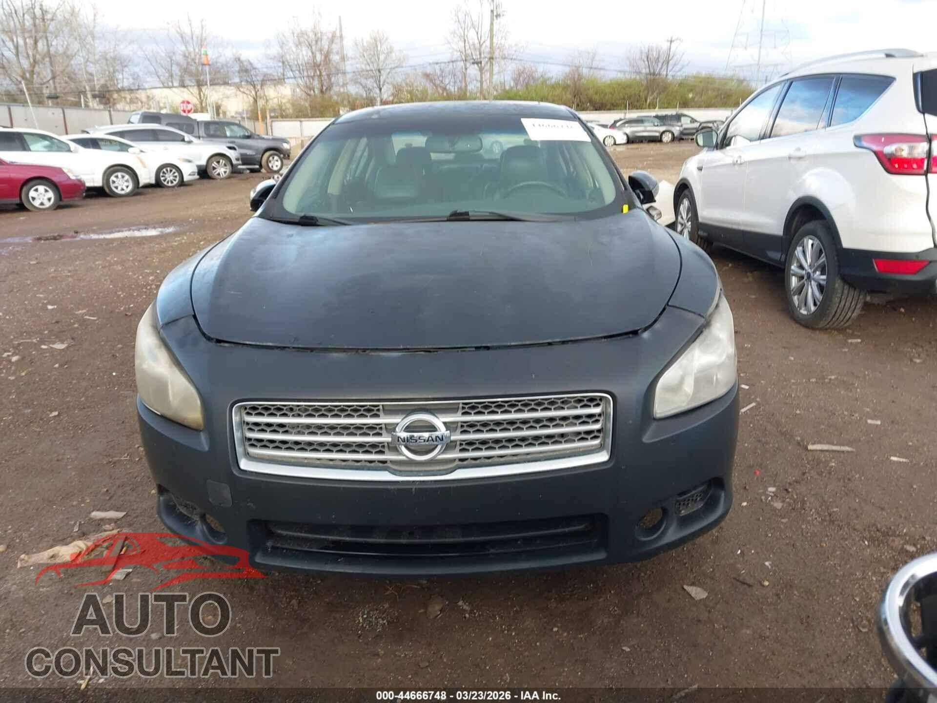 NISSAN MAXIMA 2011 - 1N4AA5AP0BC816739