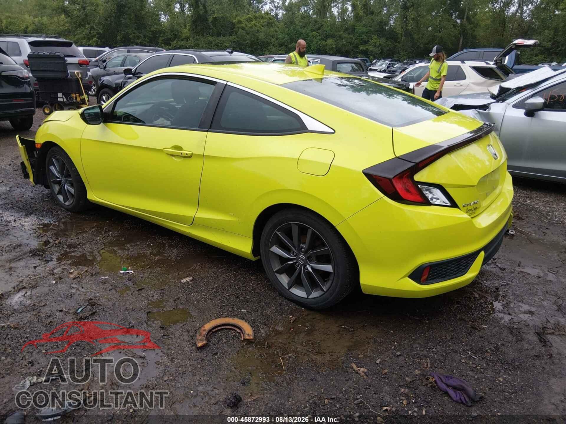 HONDA CIVIC 2019 - 2HGFC3B31KH352689