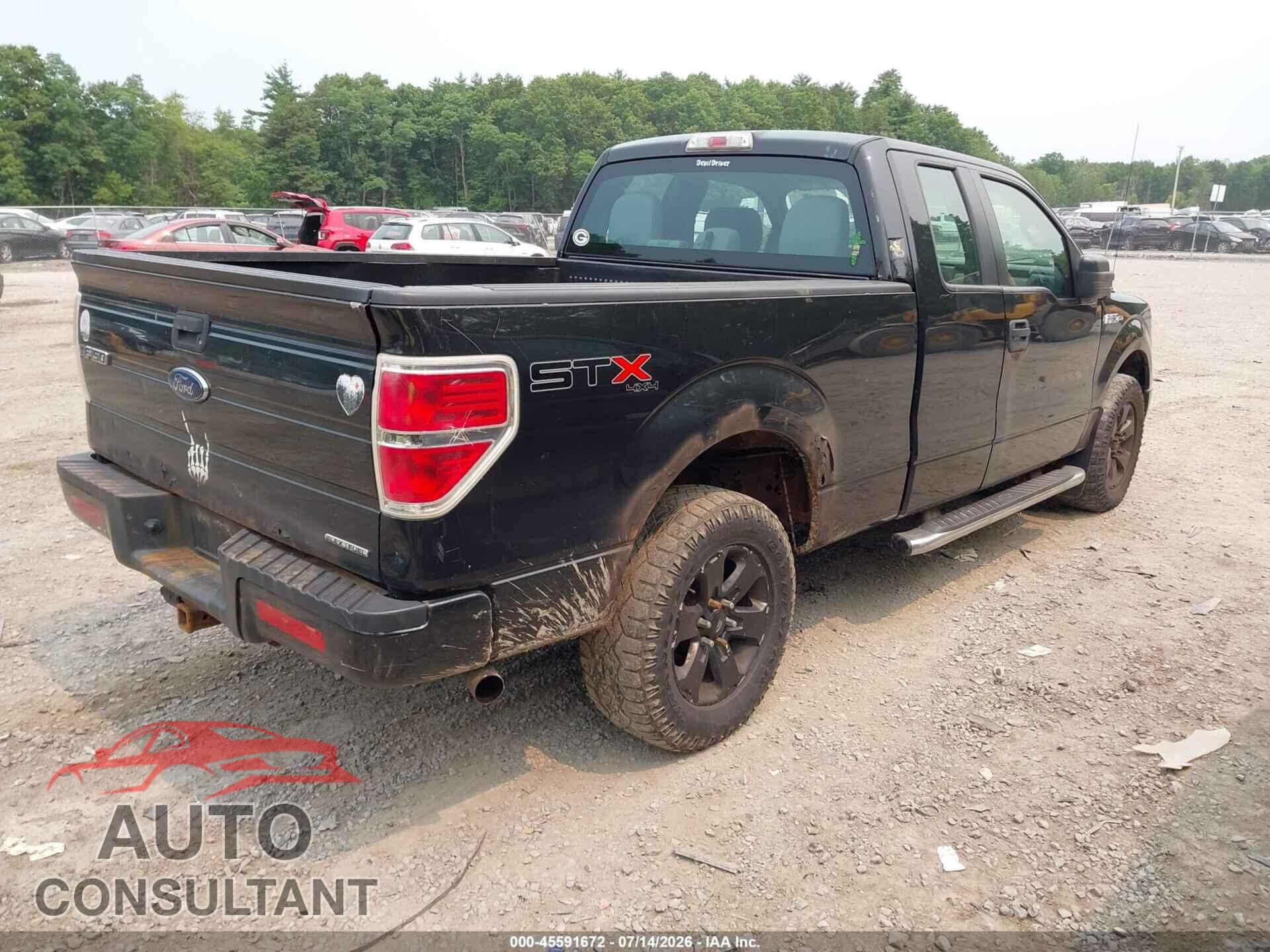 FORD F-150 2013 - 1FTFX1EF8DFD60807