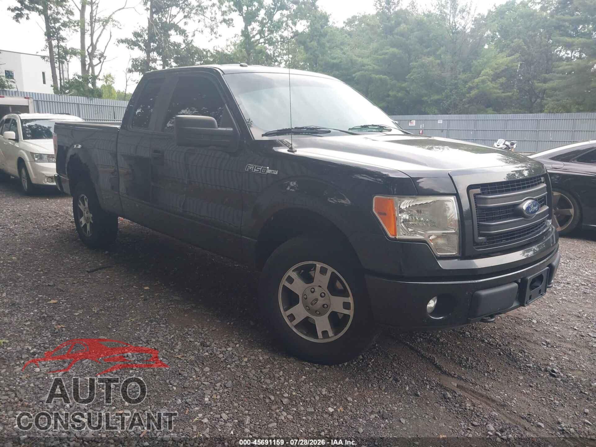 FORD F-150 2013 - 1FTFX1EF4DFD73666