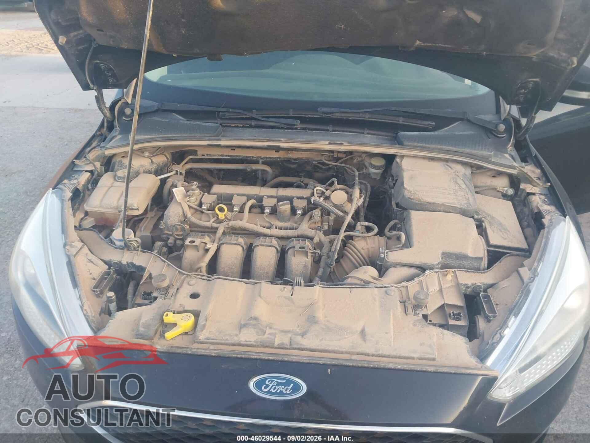 FORD FOCUS 2016 - 1FADP3F24GL343836