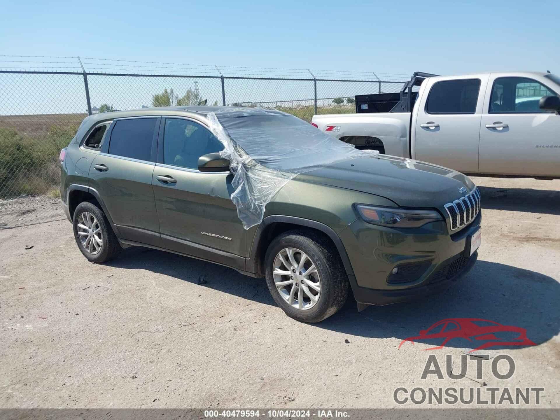 JEEP CHEROKEE 2019 - 1C4PJLCBXKD459543