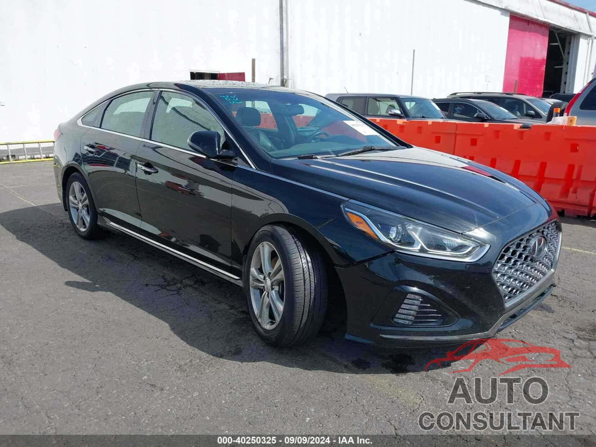 HYUNDAI SONATA 2019 - 5NPE34AF2KH787756