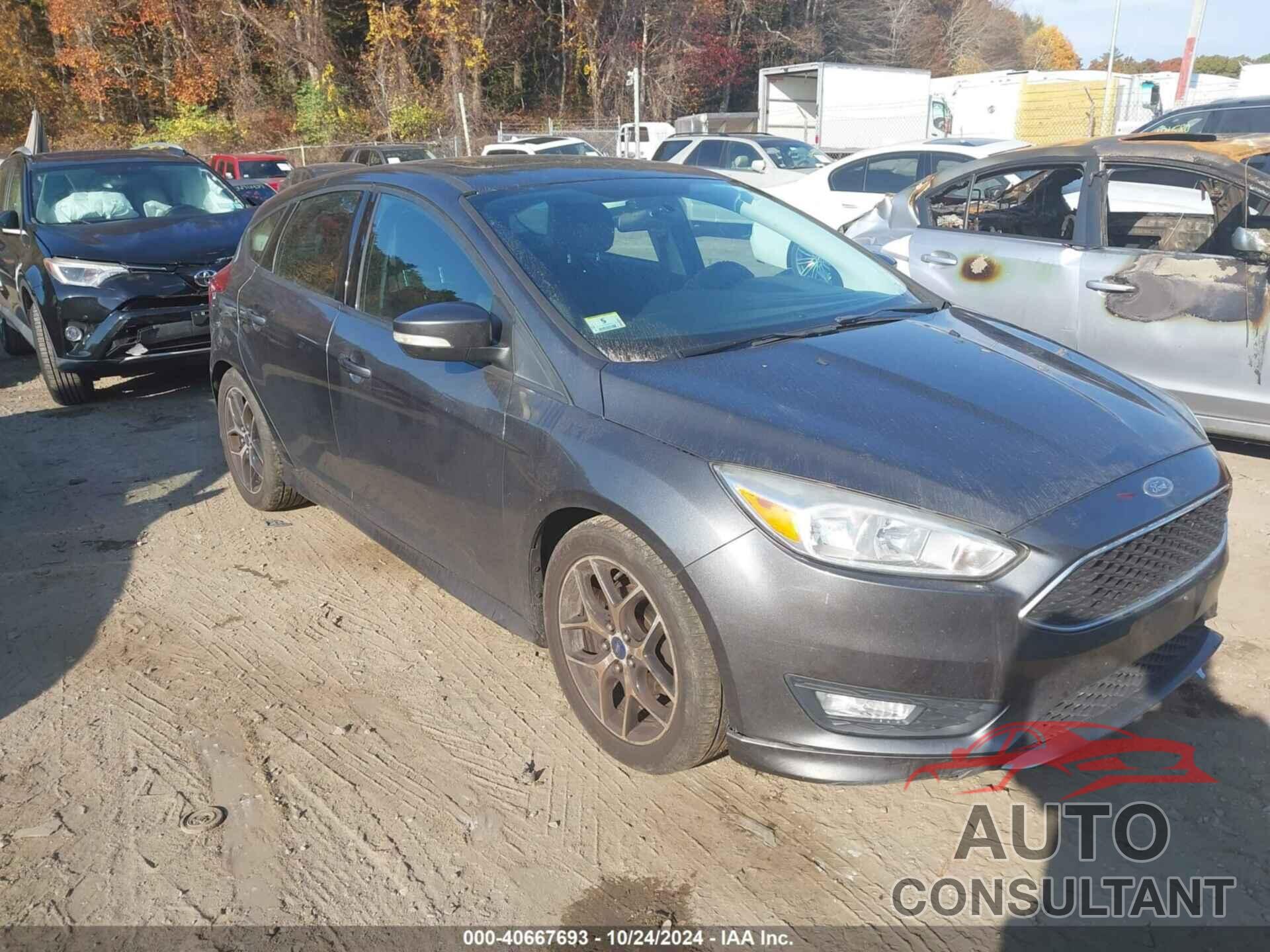 FORD FOCUS 2015 - 1FADP3K28FL251472