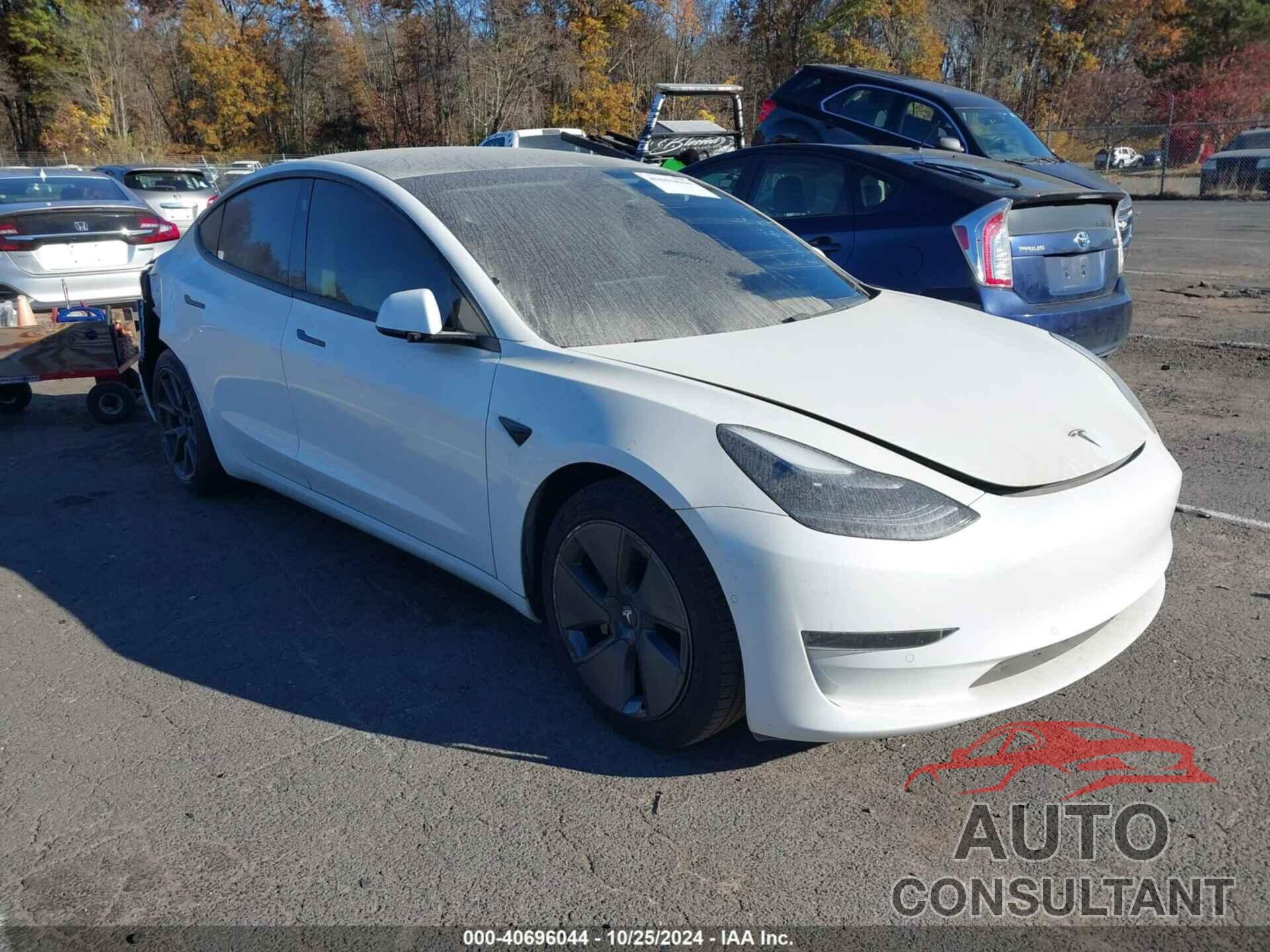 TESLA MODEL 3 2021 - 5YJ3E1EA5MF919859