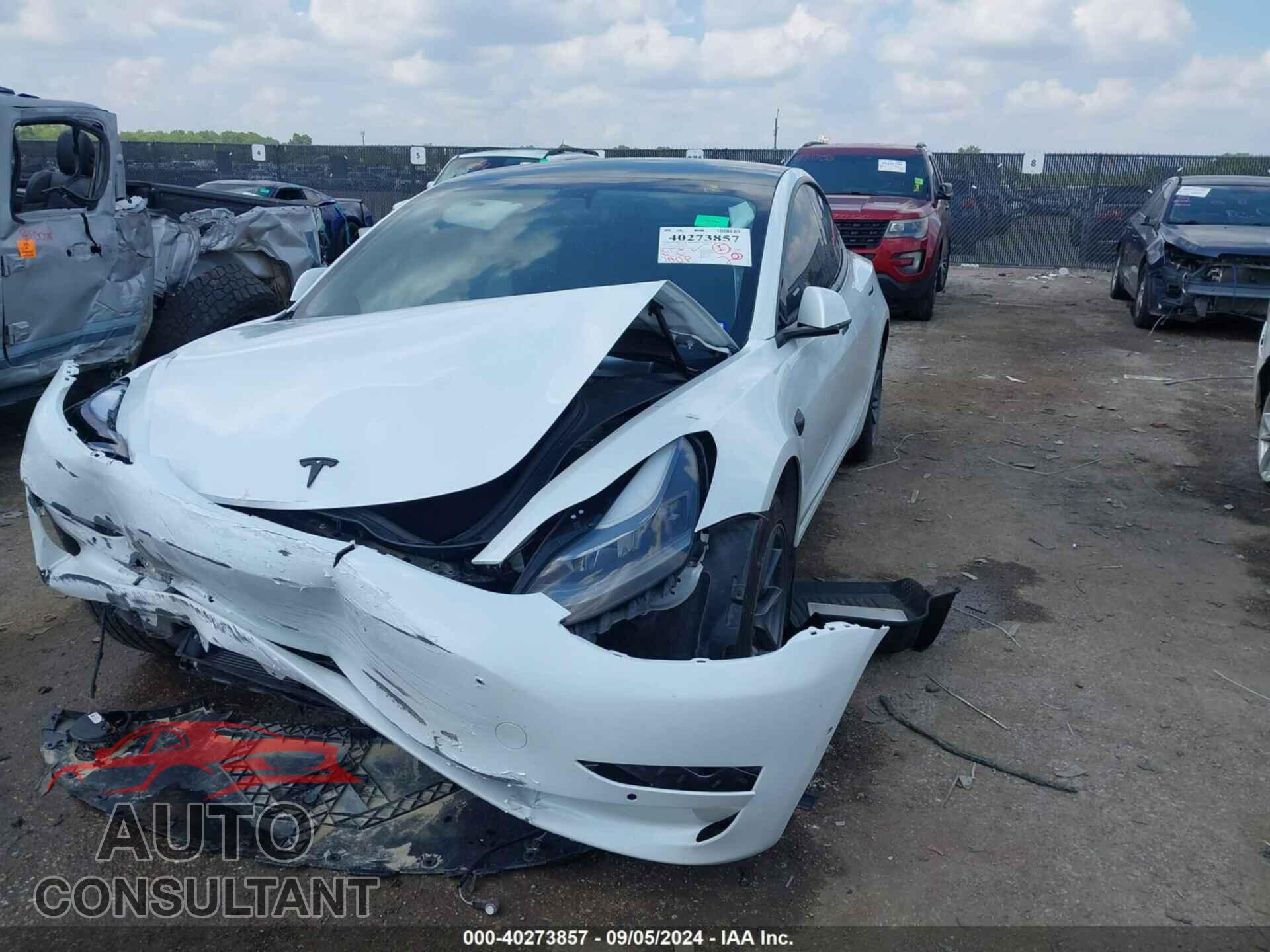 TESLA MODEL 3 2021 - 5YJ3E1EA9MF988974