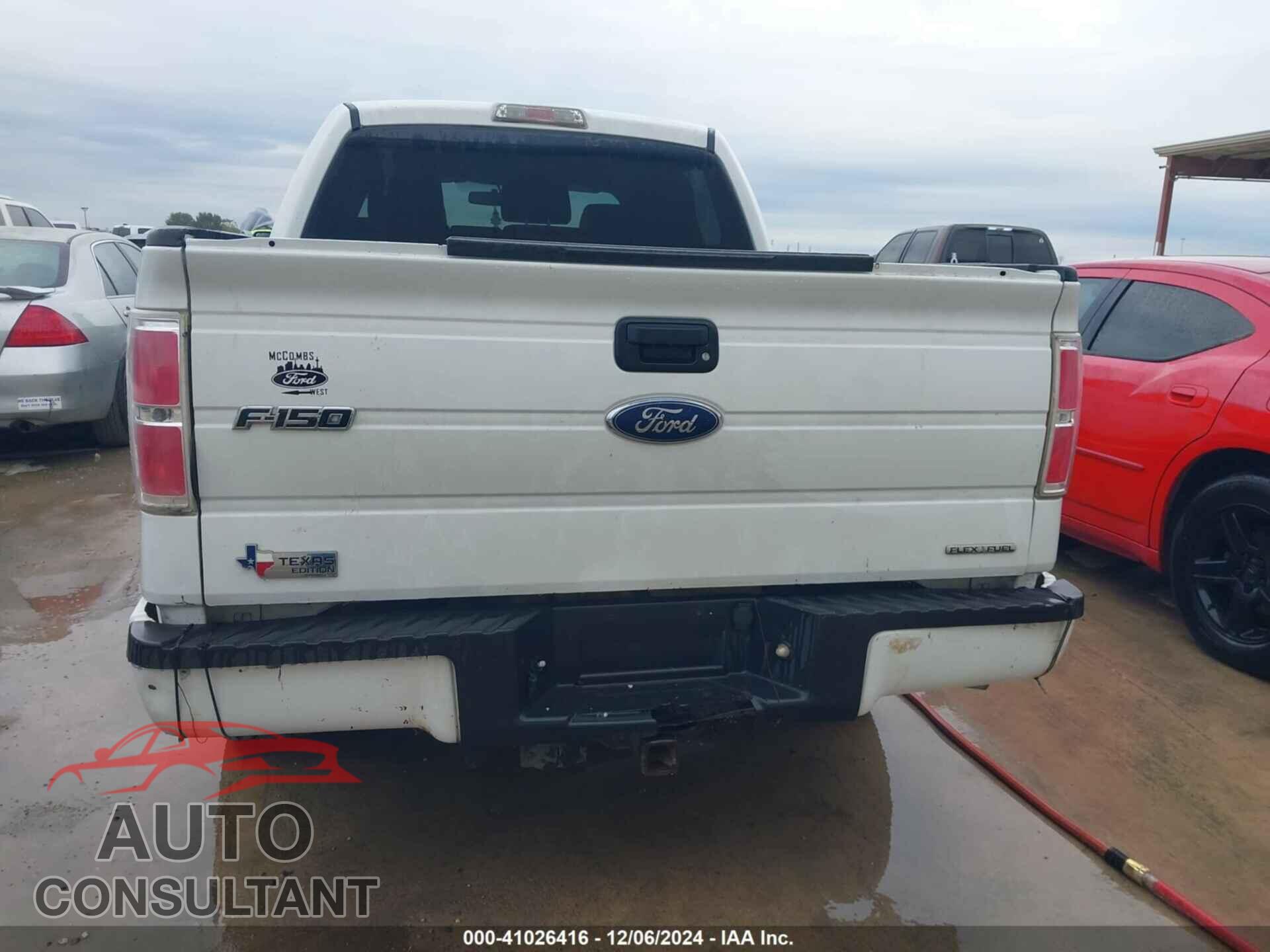 FORD F-150 2011 - 1FTEW1CM2BFA65537