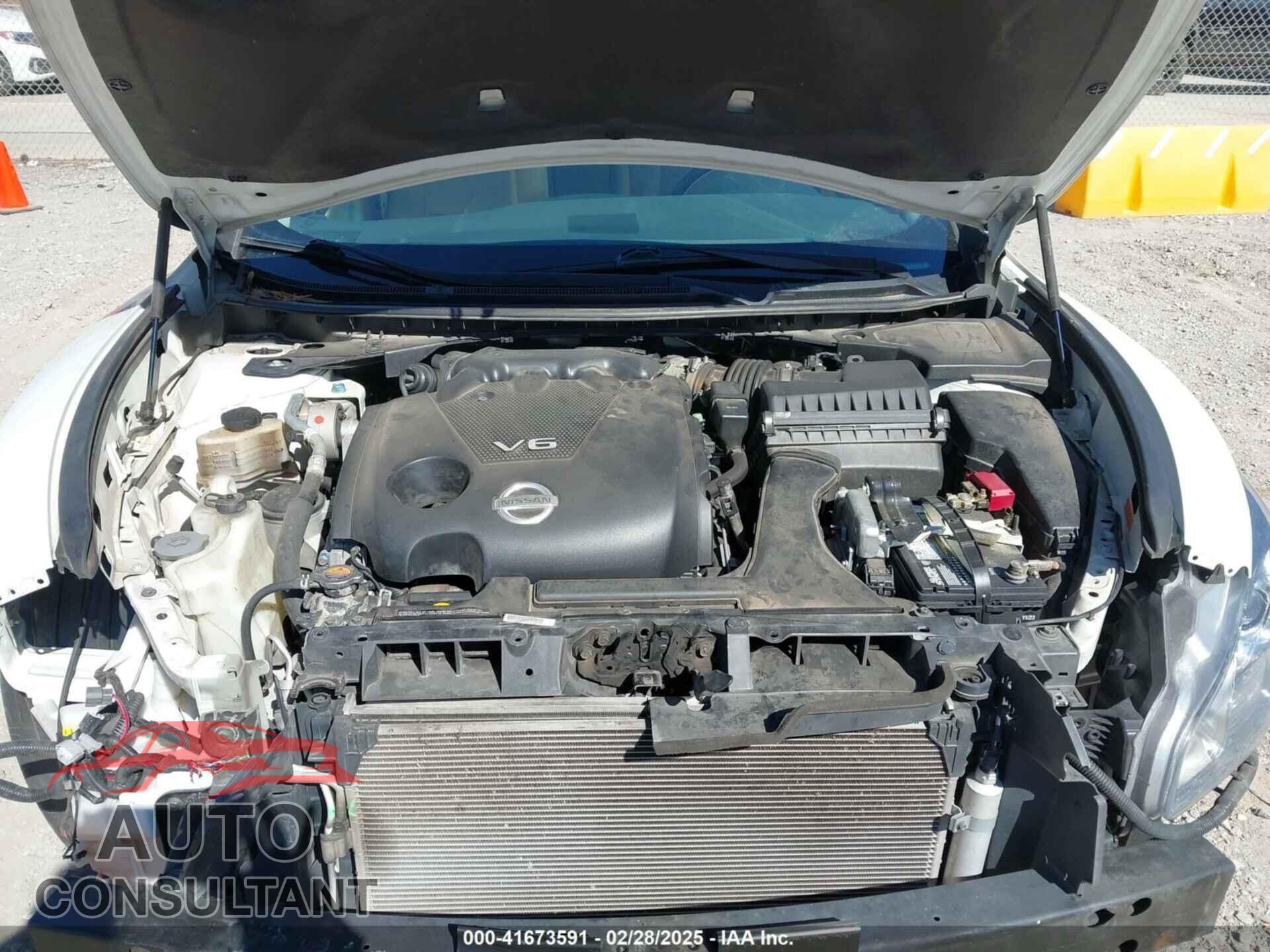 NISSAN MAXIMA 2009 - 1N4AA51E79C853473