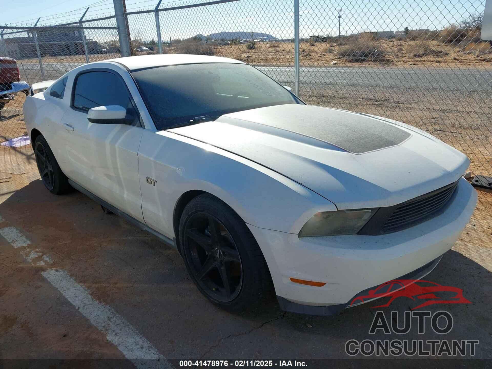 FORD MUSTANG 2010 - 1ZVBP8CH5A5152331