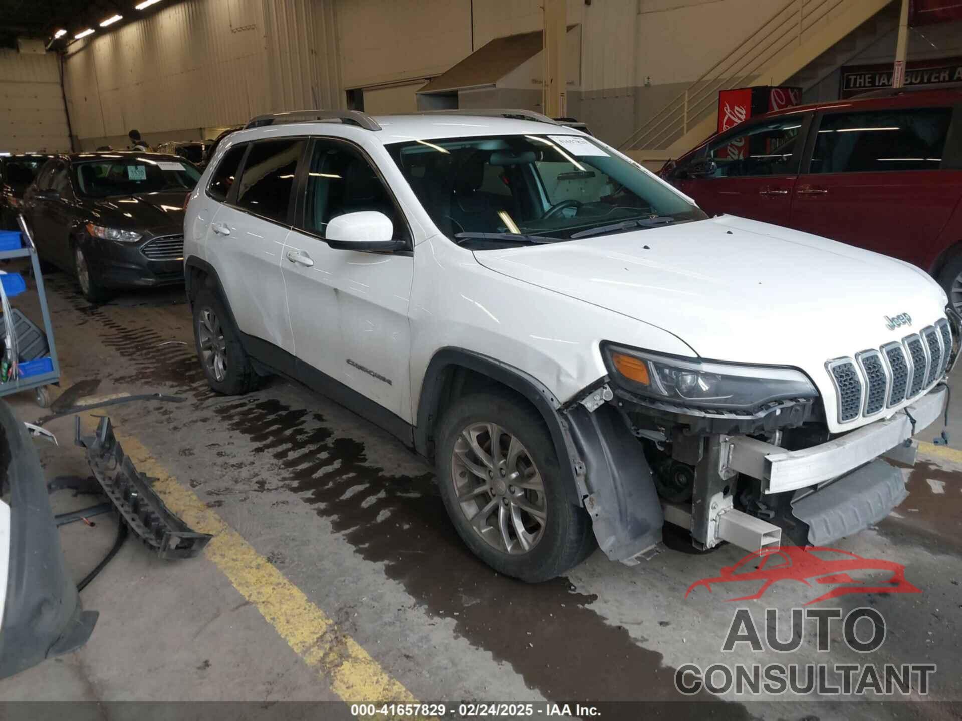 JEEP CHEROKEE 2019 - 1C4PJLLB3KD186834