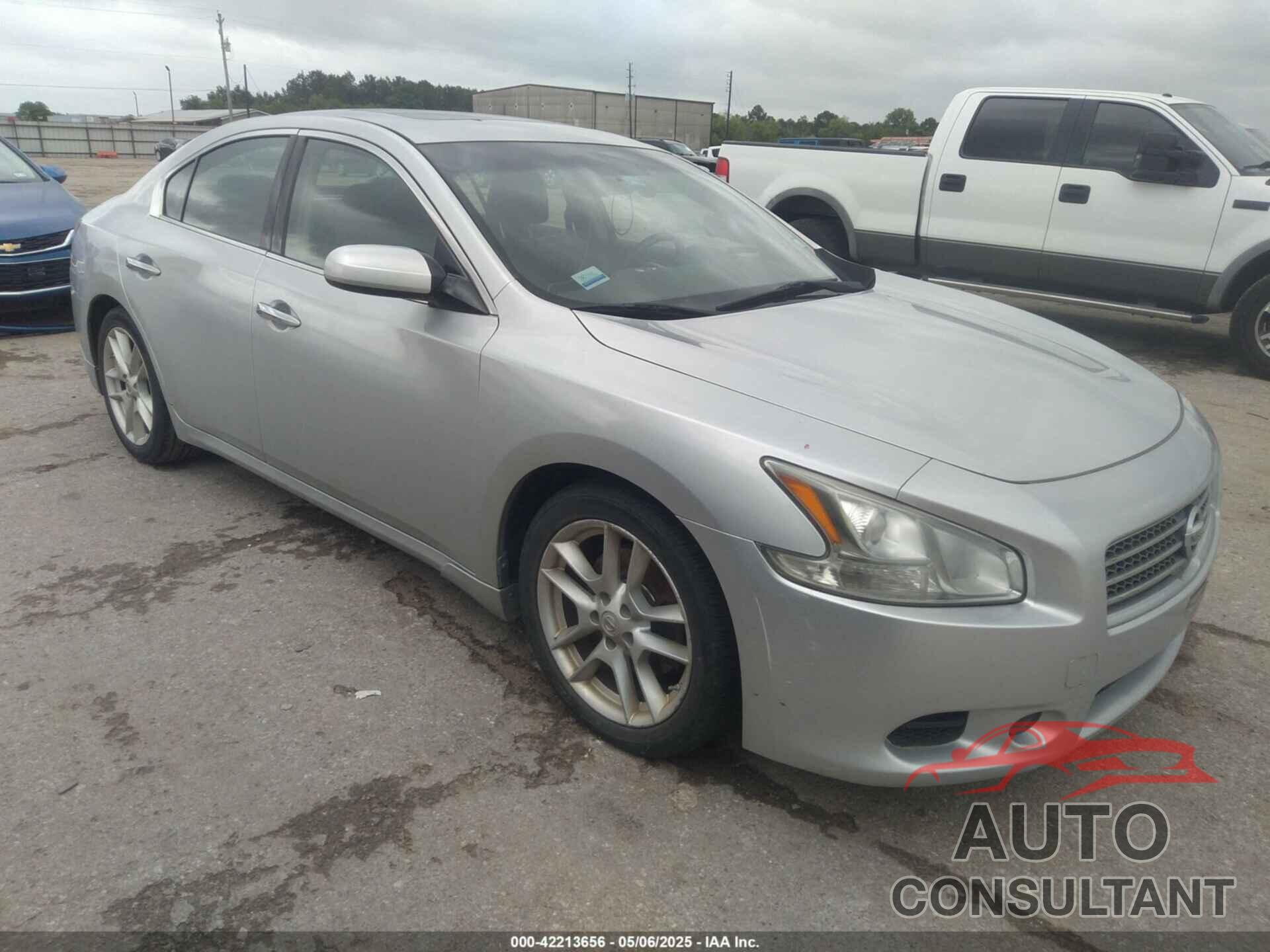 NISSAN MAXIMA 2009 - 1N4AA51E79C858334