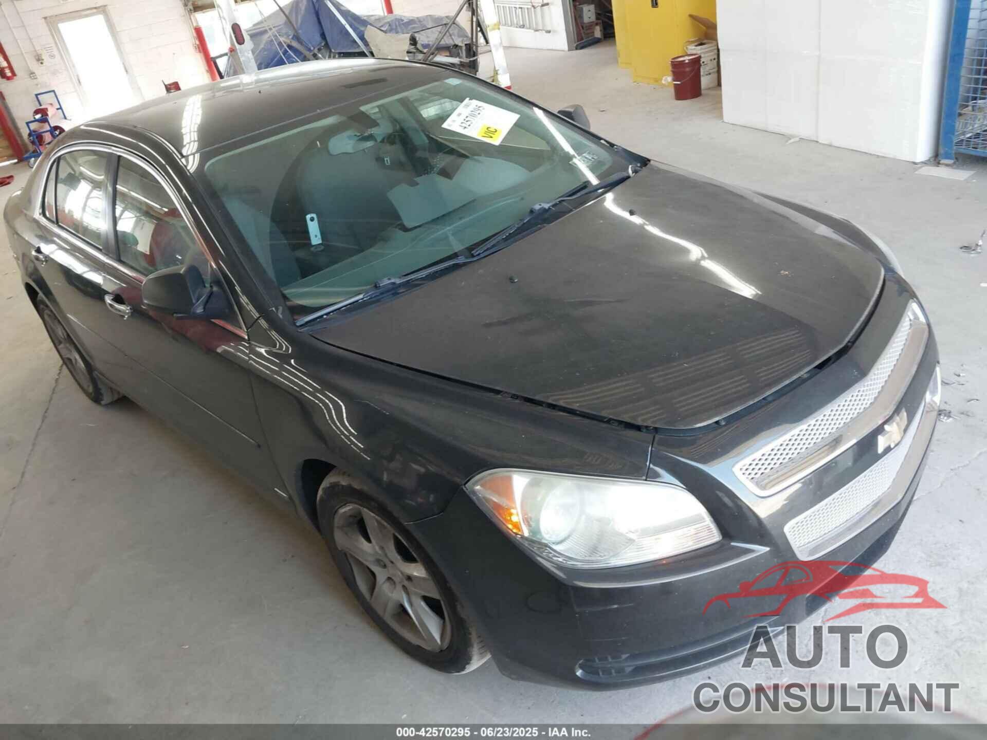 CHEVROLET MALIBU 2010 - 1G1ZB5EB0AF197039