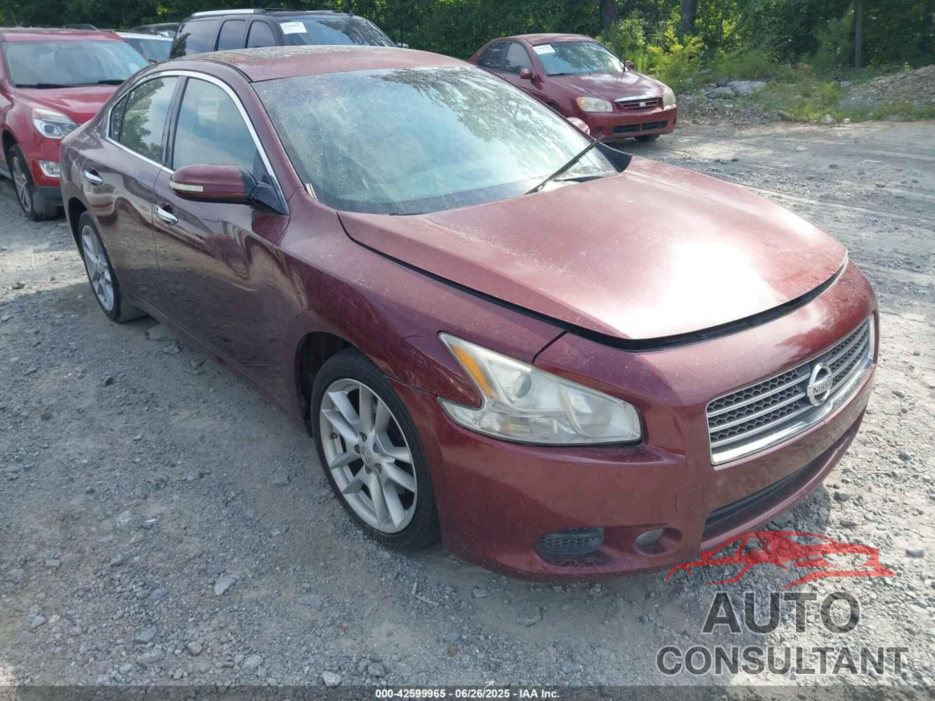 NISSAN MAXIMA 2010 - 1N4AA5AP0AC860318