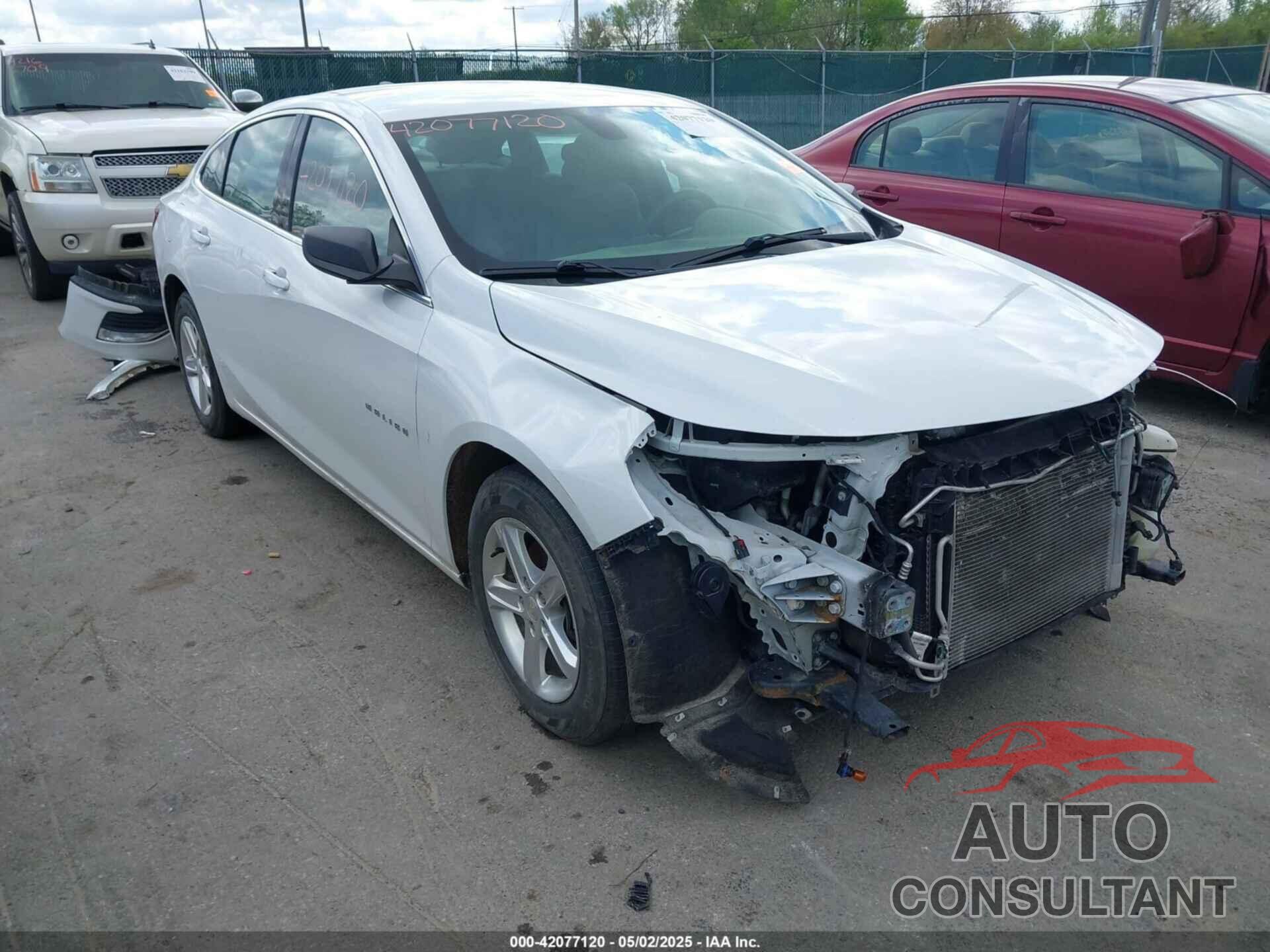 CHEVROLET MALIBU 2019 - 1G1ZB5ST8KF203815