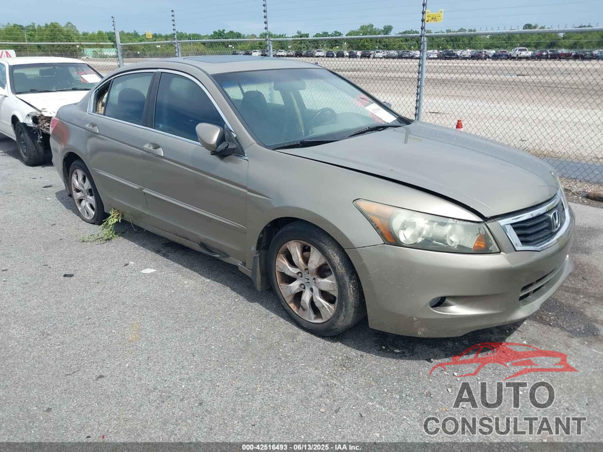 HONDA ACCORD 2010 - 5KBCP3F88AB001215