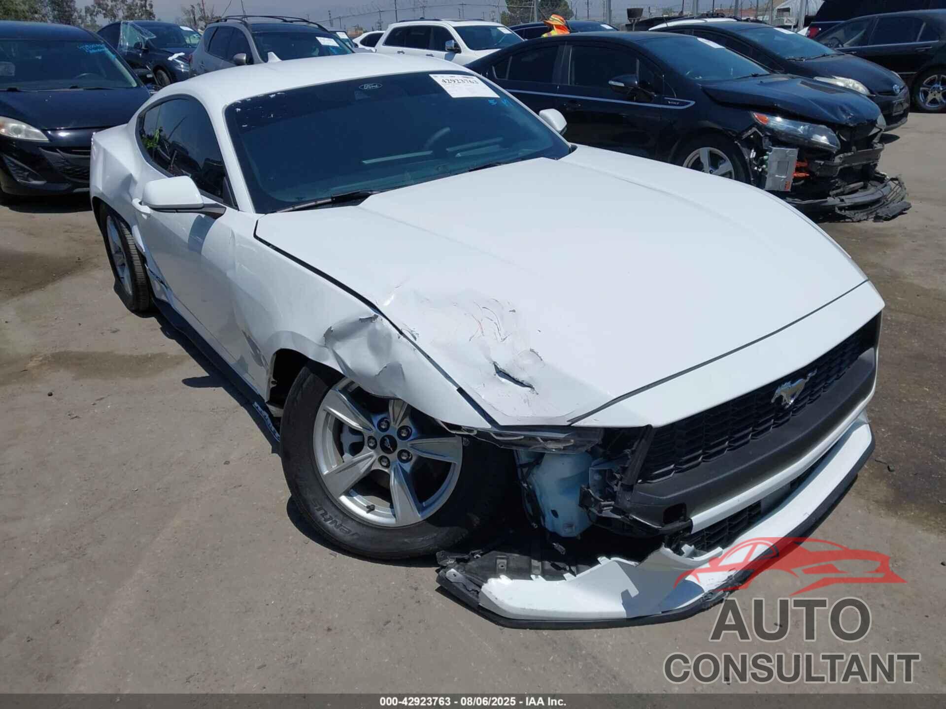 FORD MUSTANG 2024 - 1FA6P8TH5R5113938