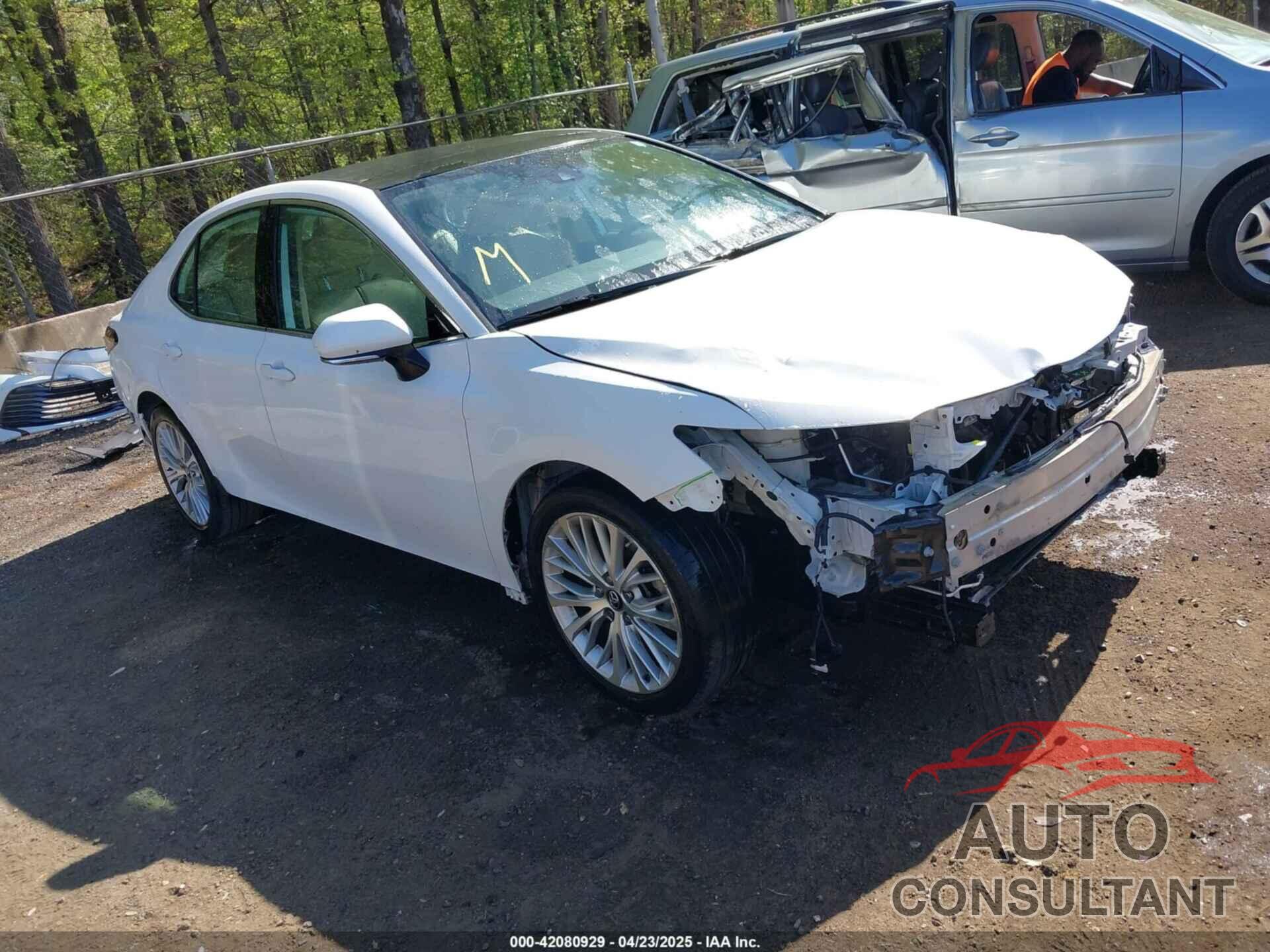 TOYOTA CAMRY 2019 - 4T1B11HK1KU782995