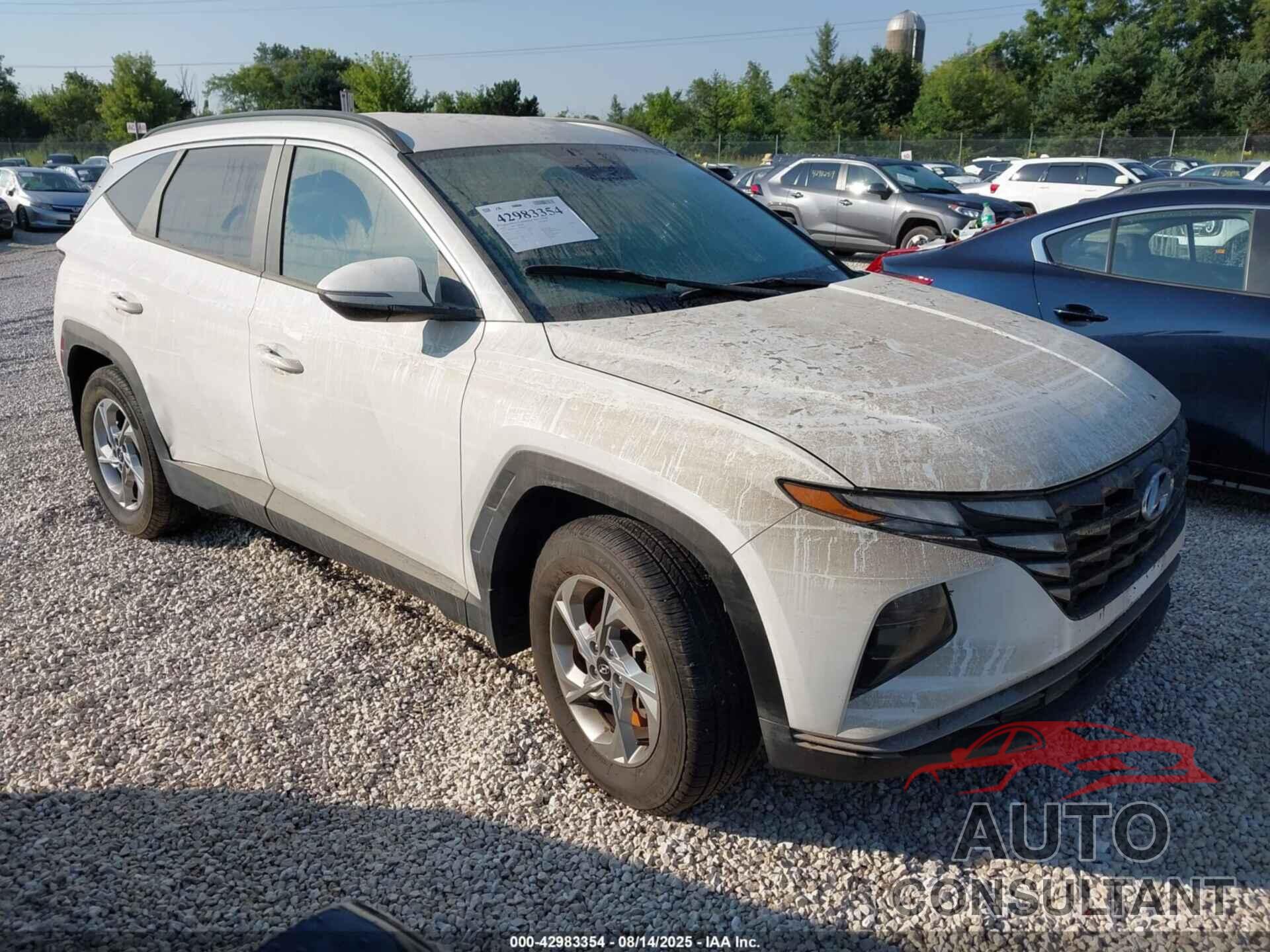 HYUNDAI TUCSON 2023 - 5NMJBCAE2PH238470