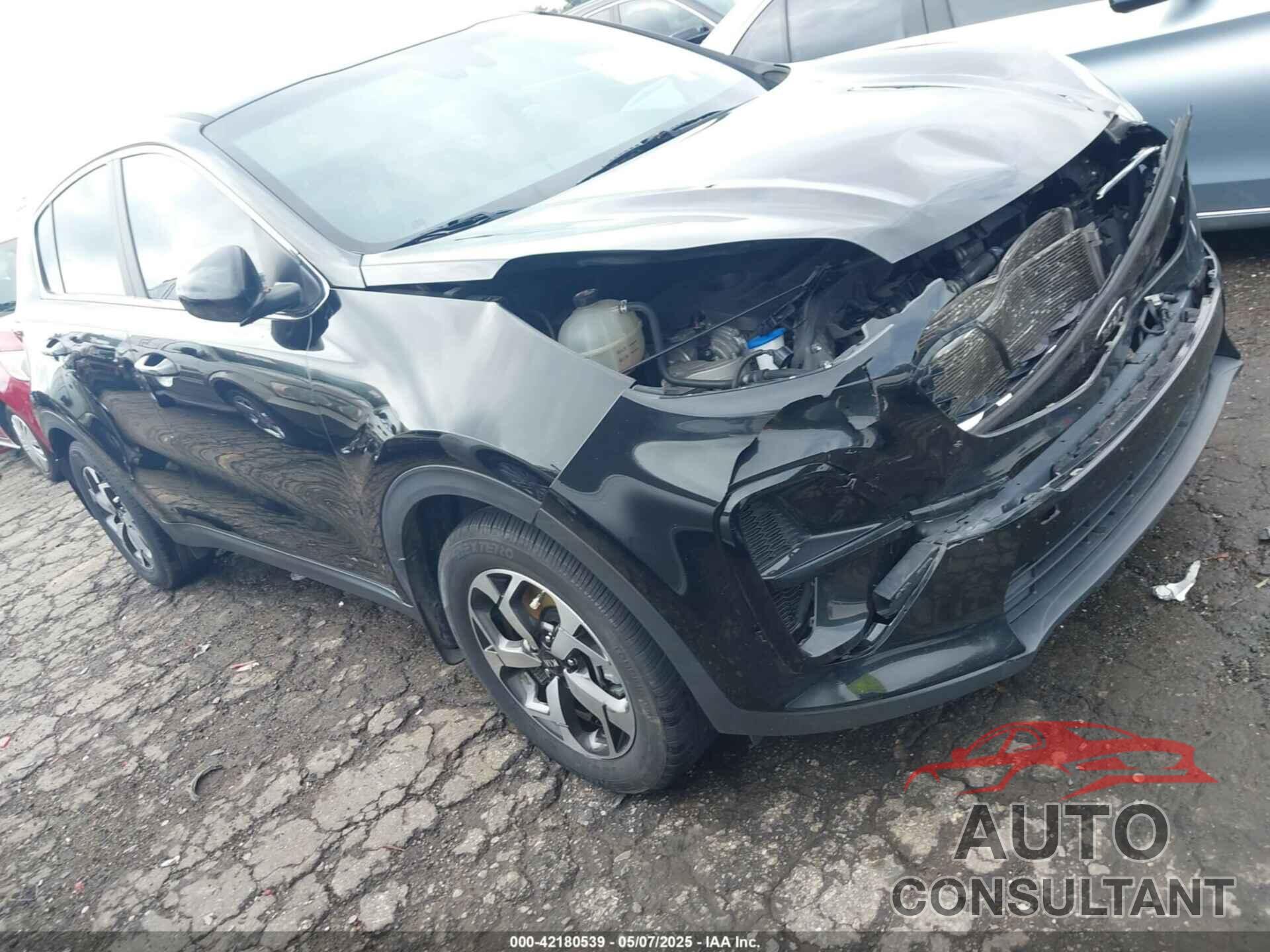 KIA SPORTAGE 2022 - KNDPM3AC9N7967556