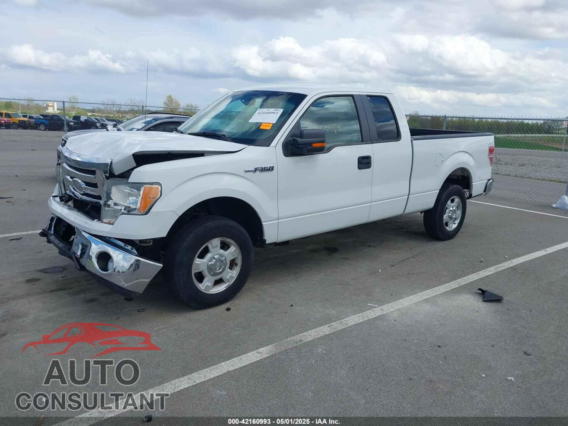 FORD F-150 2011 - 1FTFX1EF6BFB66502