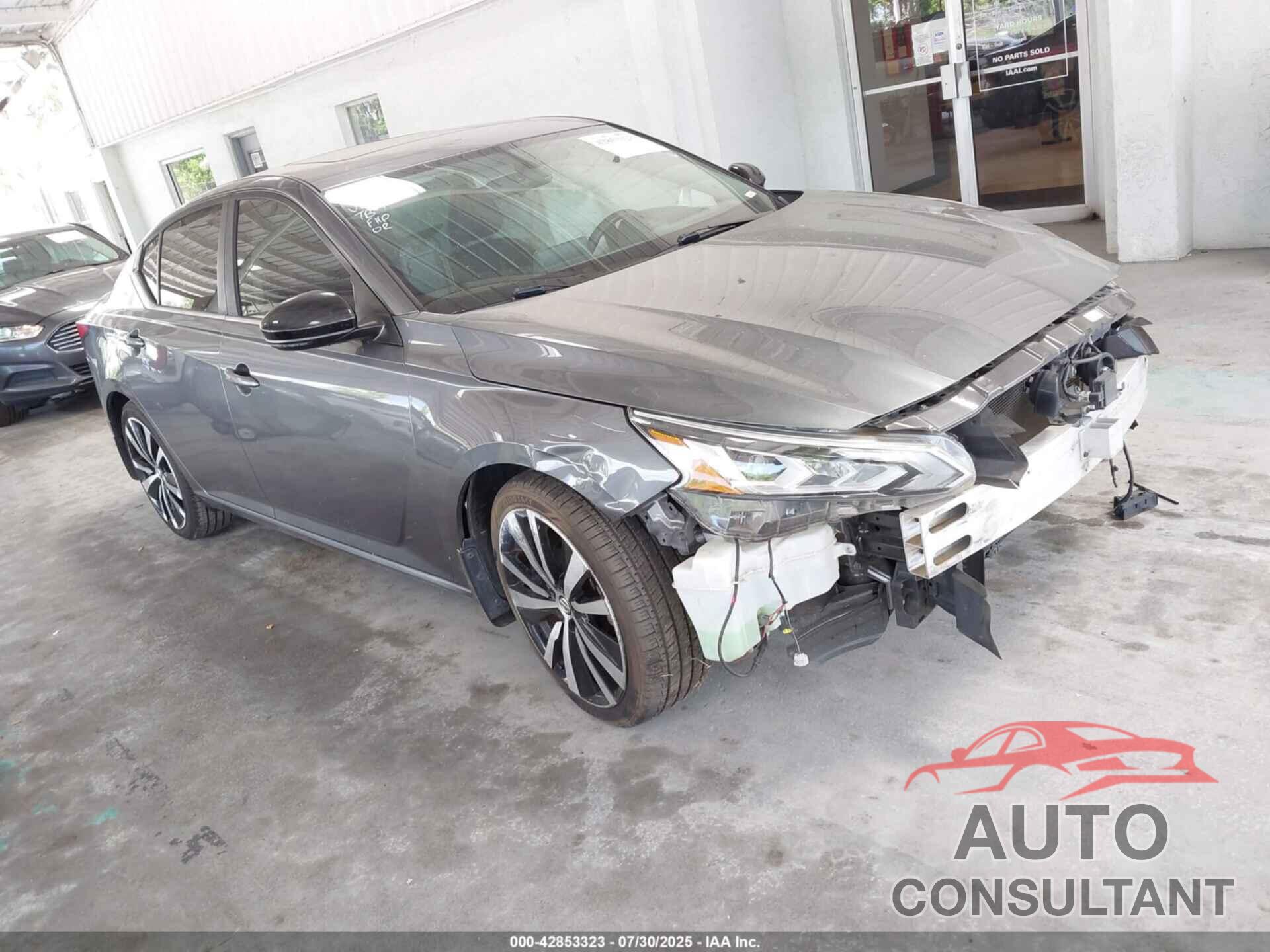 NISSAN ALTIMA 2019 - 1N4BL4CV9KN316880
