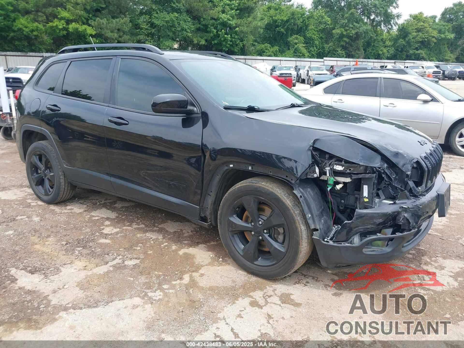 JEEP CHEROKEE 2016 - 1C4PJLCB3GW221996