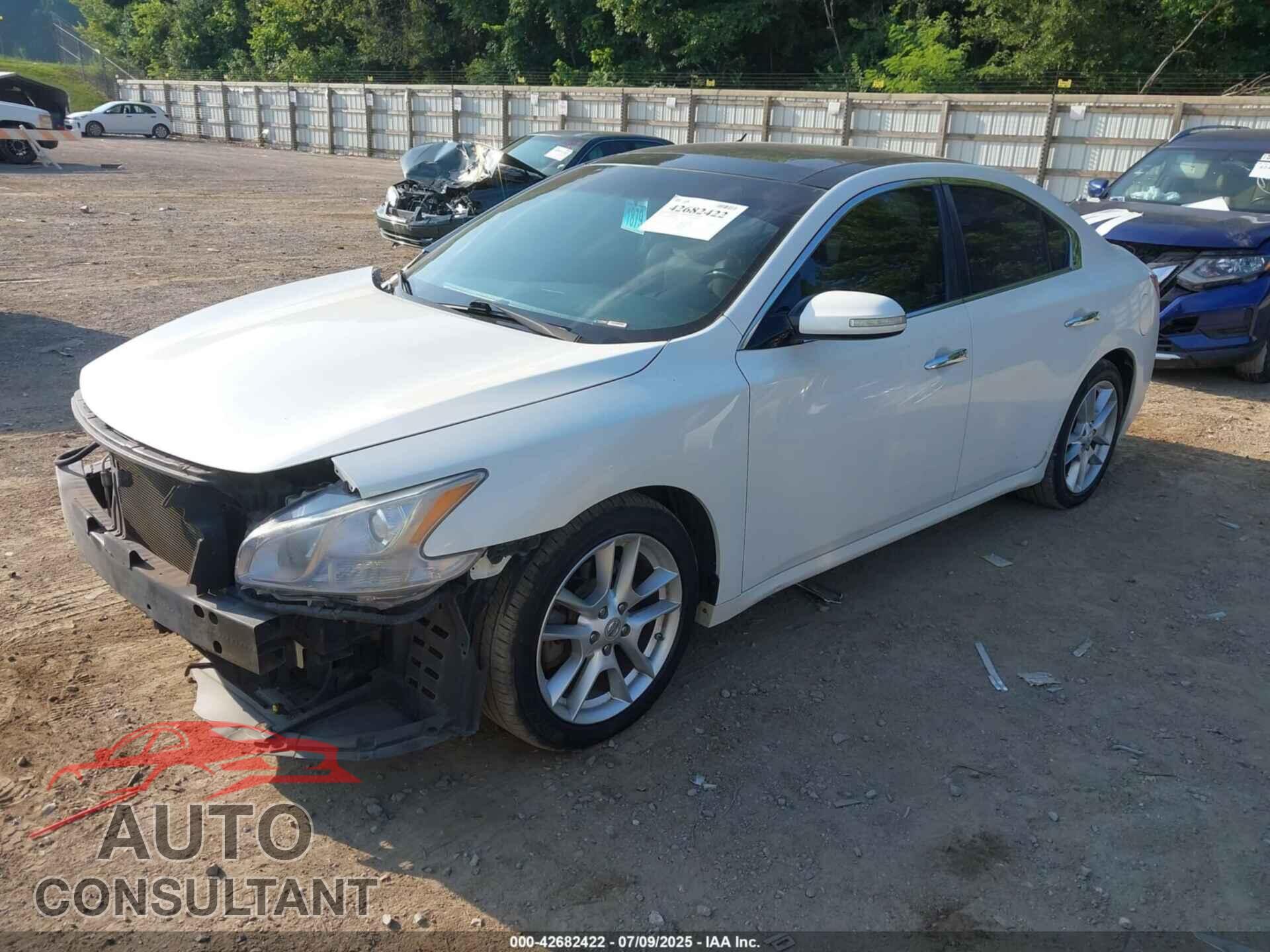 NISSAN MAXIMA 2009 - 1N4AA51E59C812890