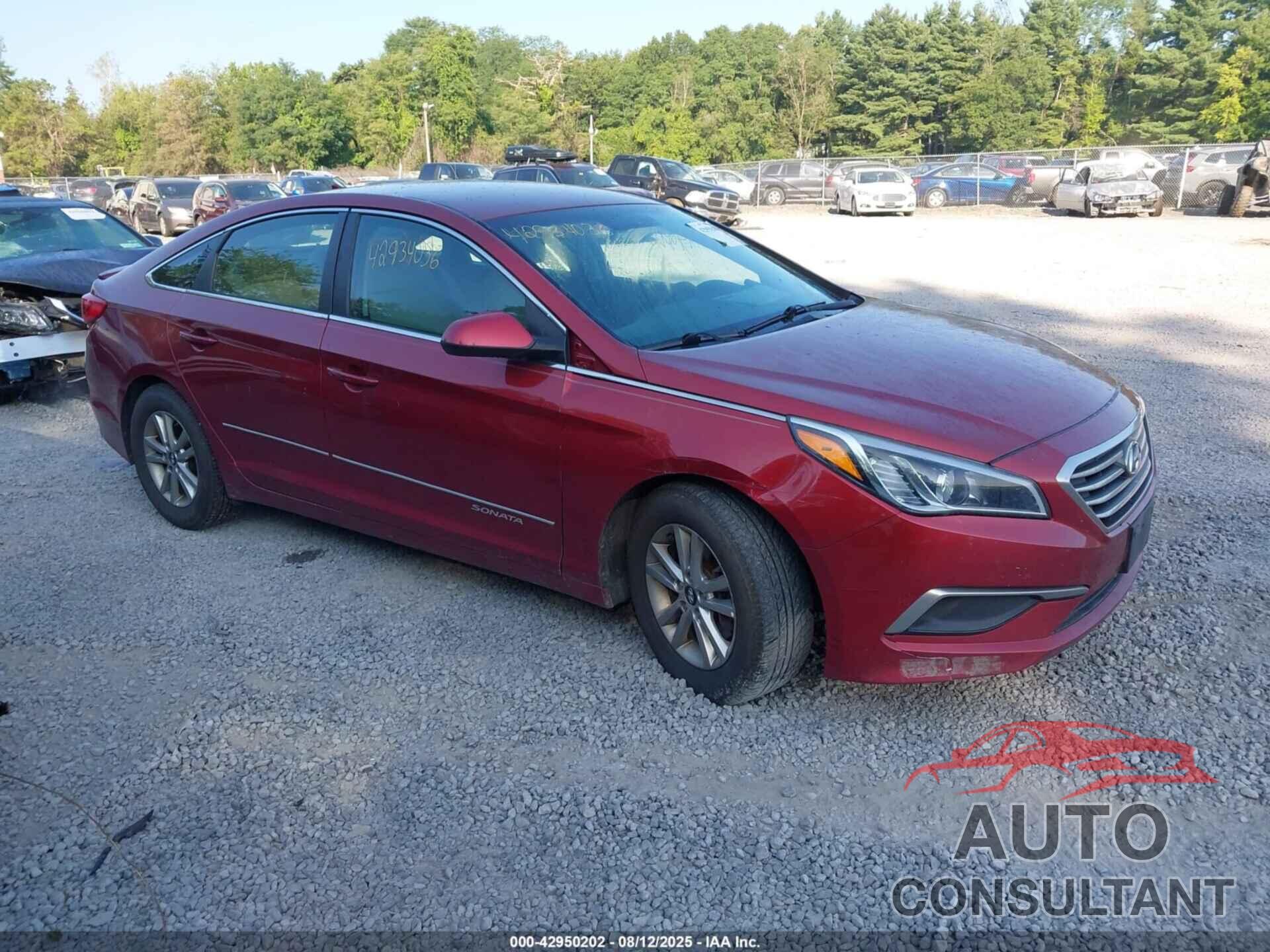 HYUNDAI SONATA 2016 - 5NPE24AF7GH390215