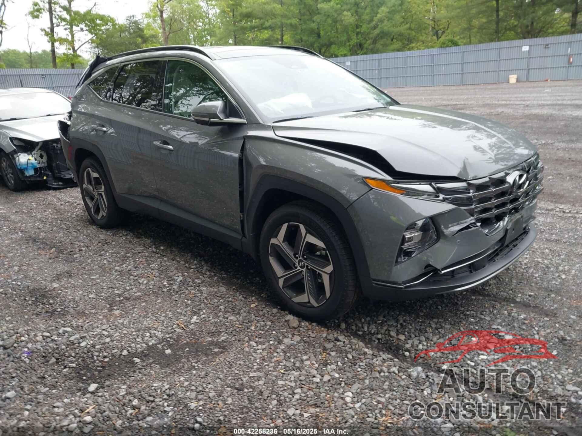 HYUNDAI TUCSON 2024 - 5NMJECDE0RH419167
