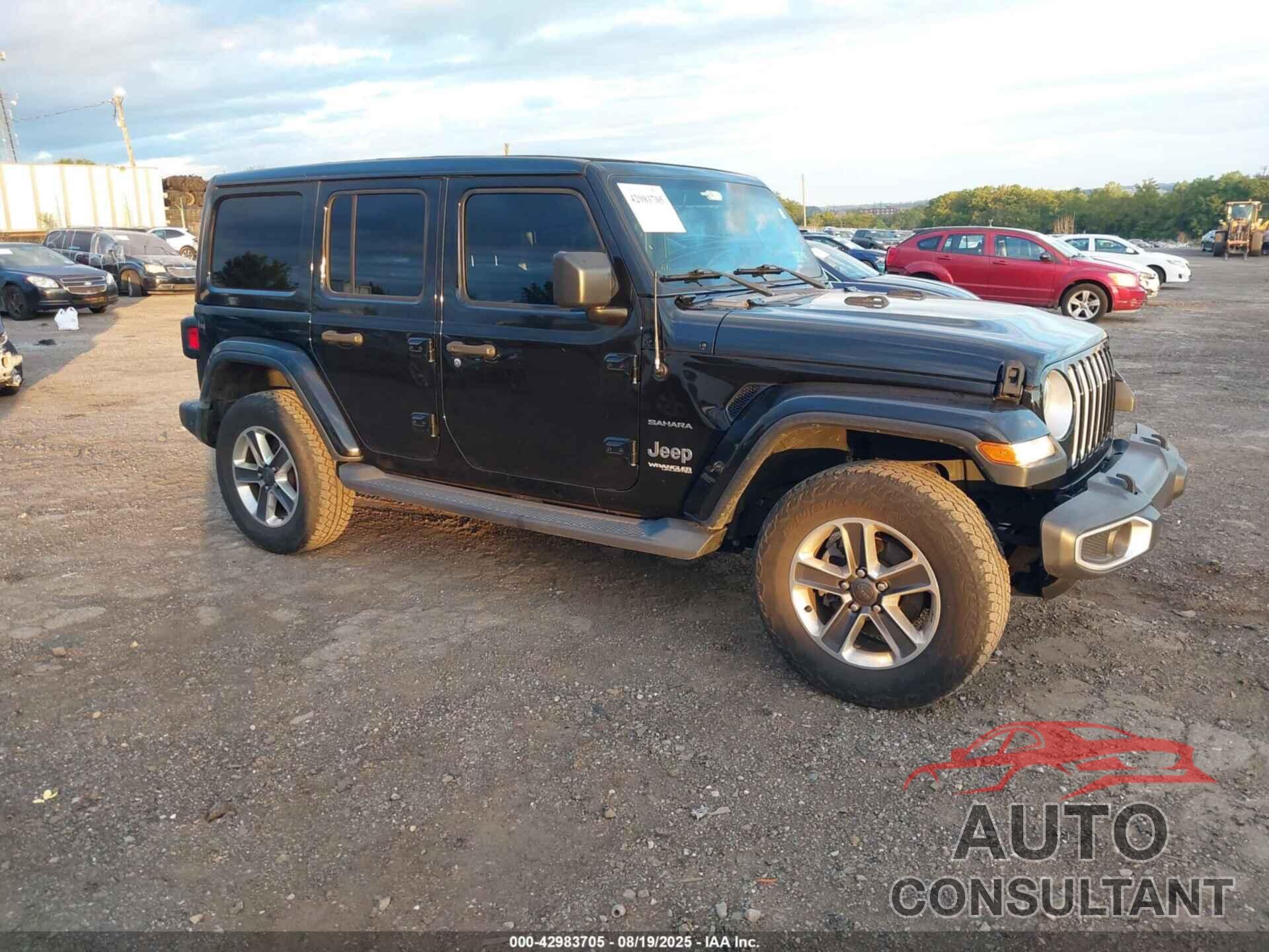 JEEP WRANGLER UNLIMITED 2019 - 1C4HJXEG5KW643426