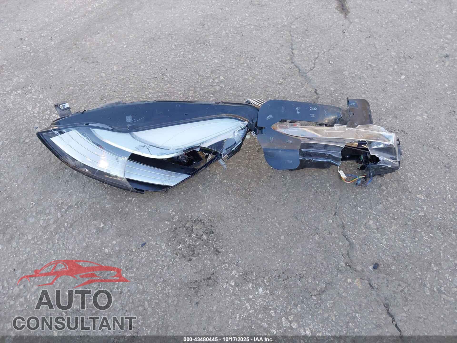 TESLA MODEL 3 2021 - 5YJ3E1EC7MF856345
