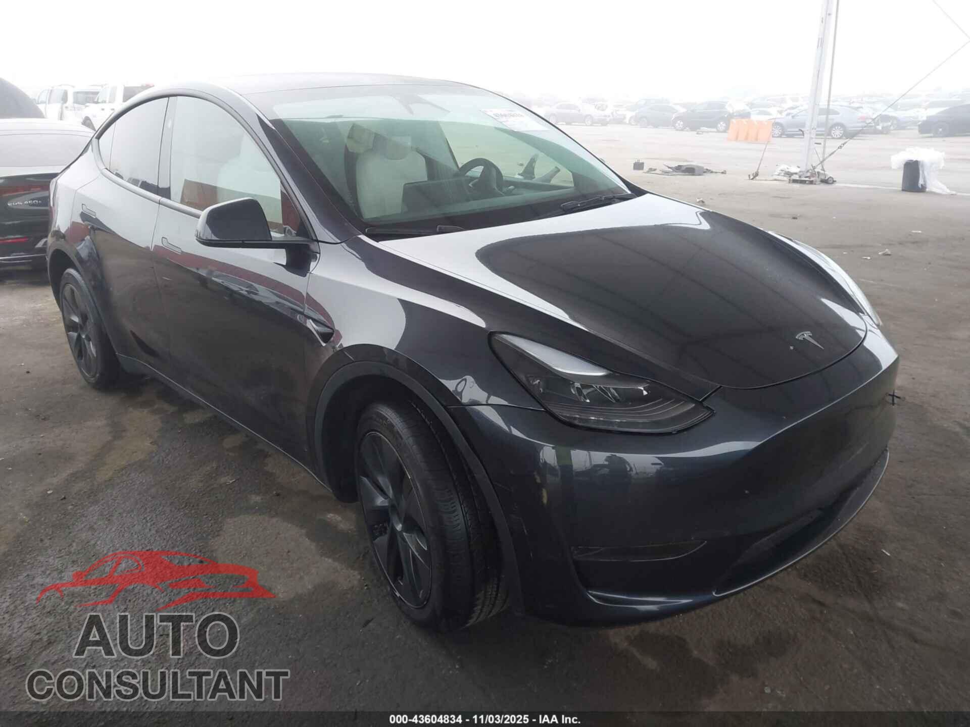 TESLA MODEL Y 2024 - 7SAYGDED1RF121204