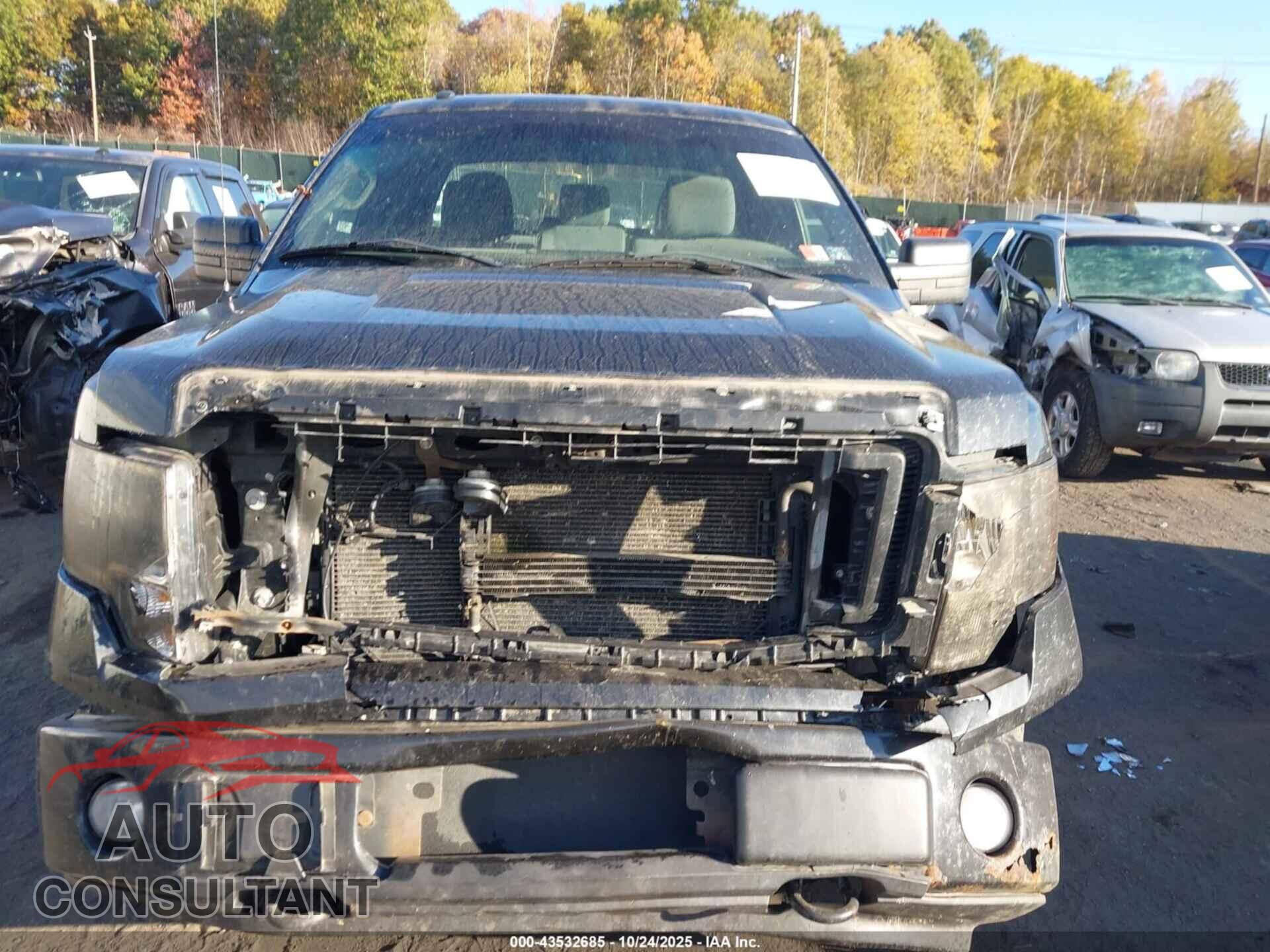 FORD F-150 2013 - 1FTFX1EF6DFA08583