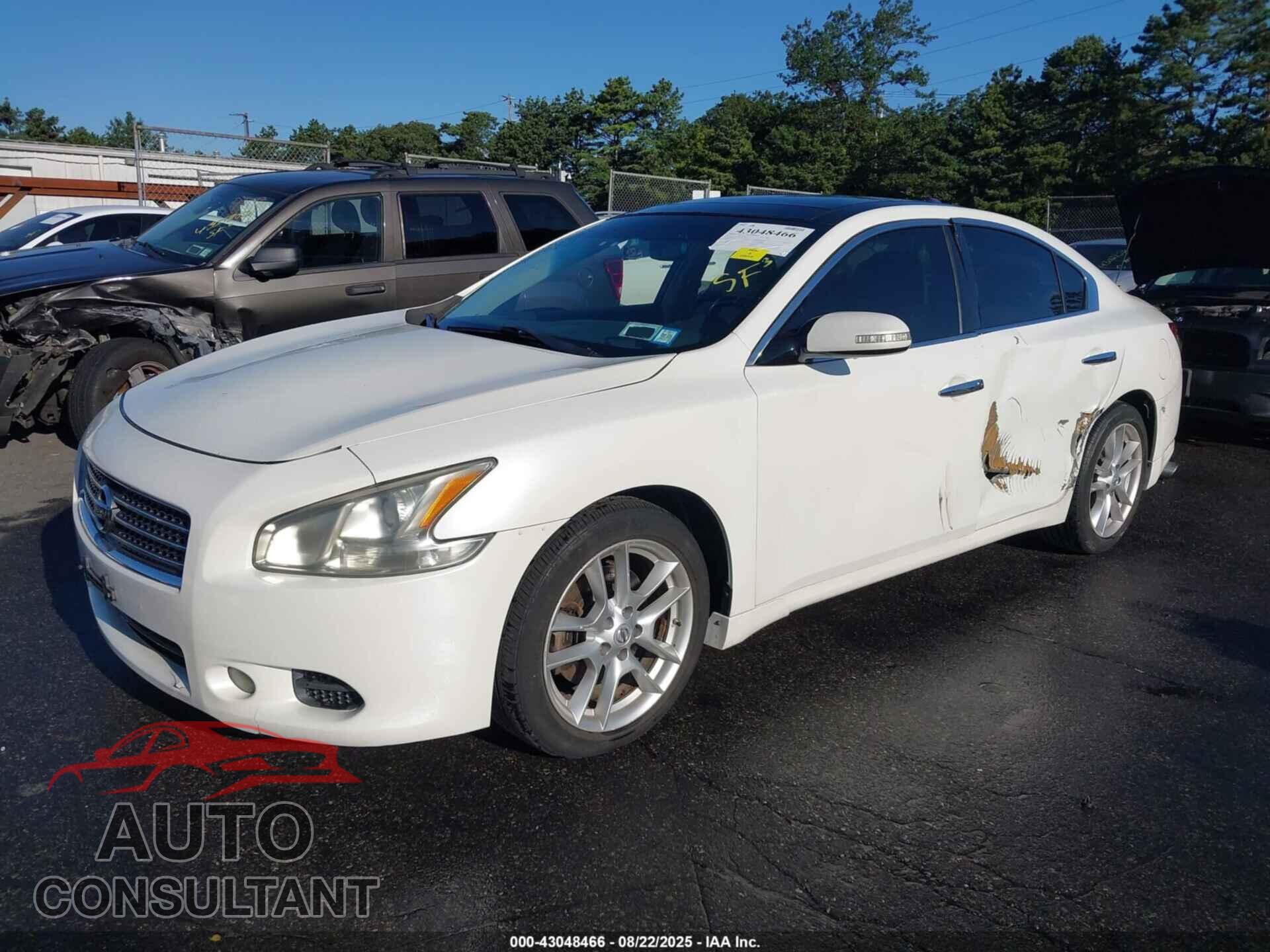 NISSAN MAXIMA 2011 - 1N4AA5AP2BC856238