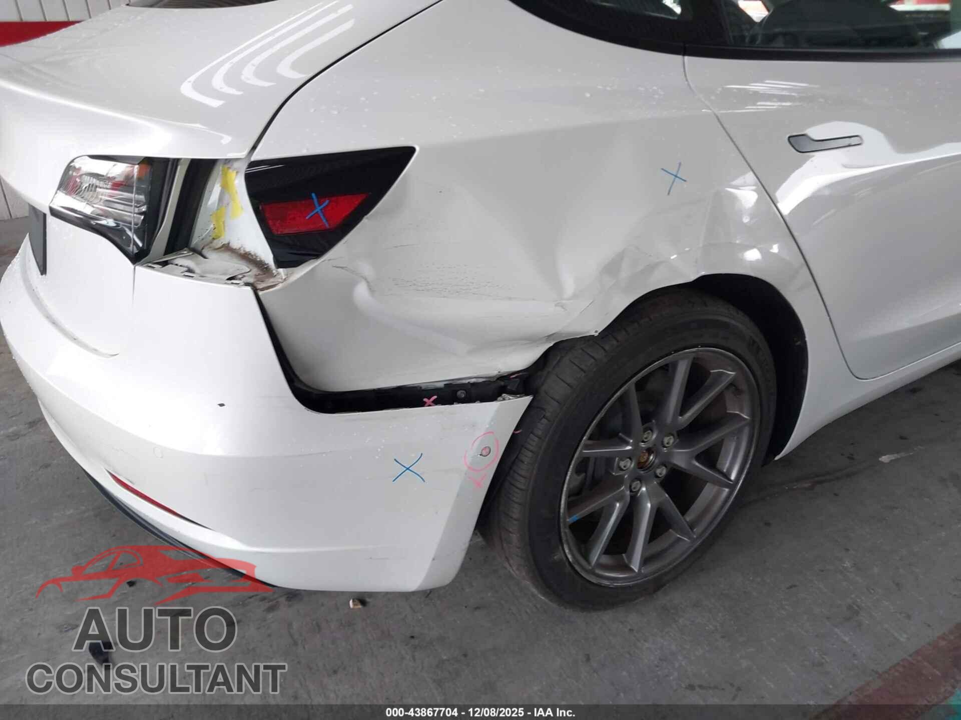 TESLA MODEL 3 2021 - 5YJ3E1EA1MF977497