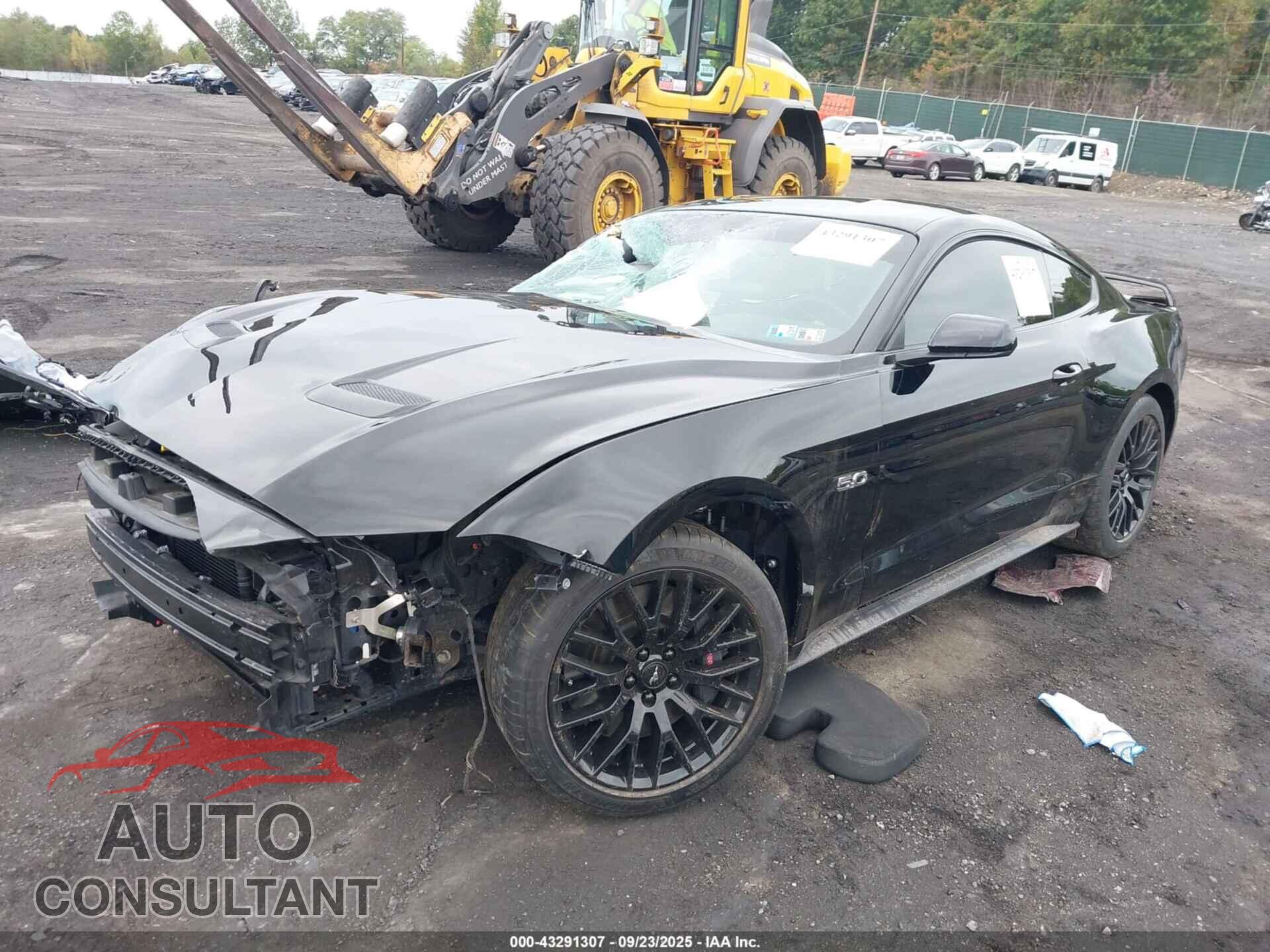 FORD MUSTANG 2019 - 1FA6P8CF4K5124160