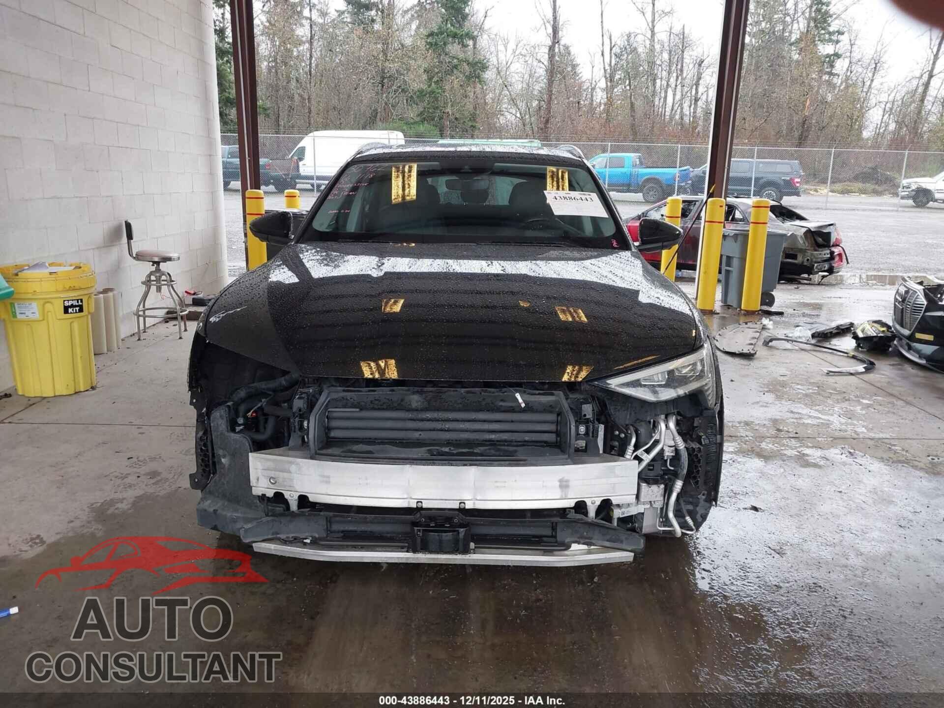 AUDI E-TRON 2019 - WA1VAAGE4KB006007