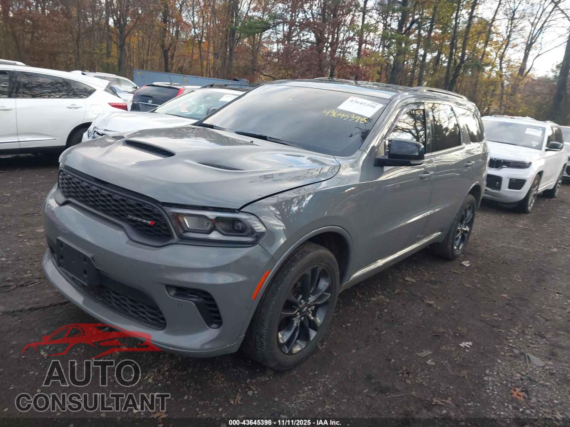 DODGE DURANGO 2024 - 1C4RDJDG7RC174135