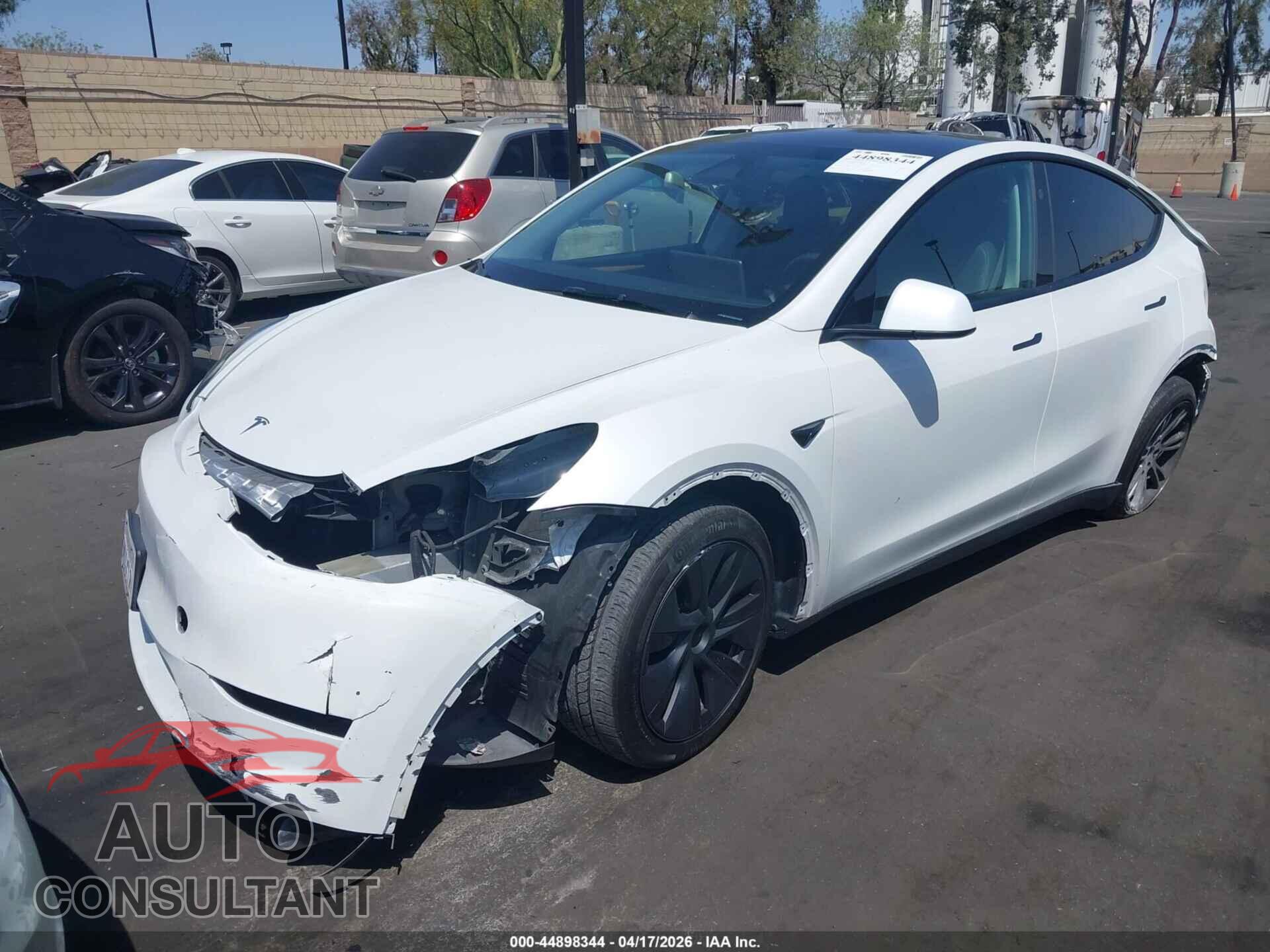 TESLA MODEL Y 2024 - 7SAYGDED8RF109082