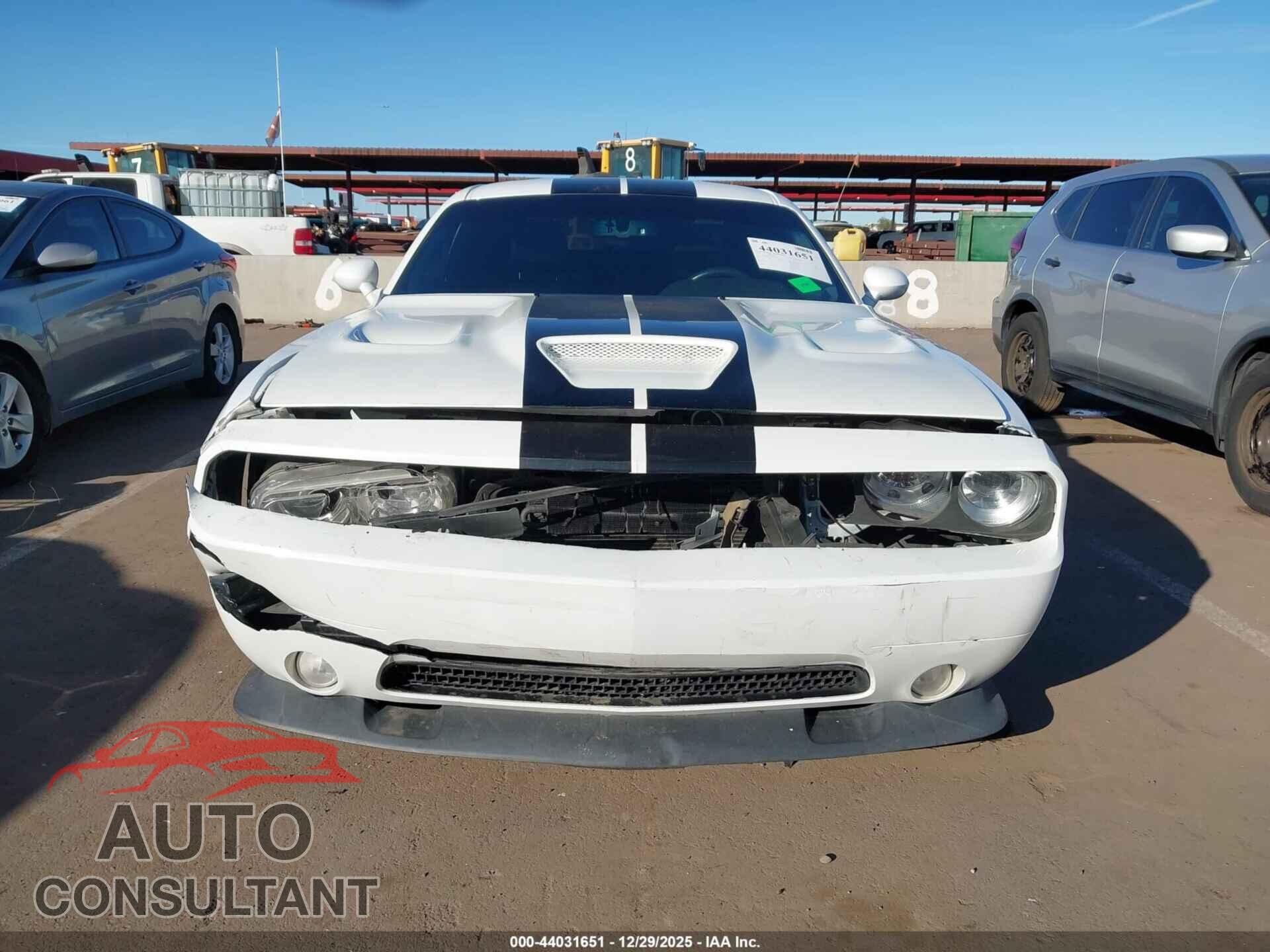 DODGE CHALLENGER 2021 - 2C3CDZFJ2MH619503