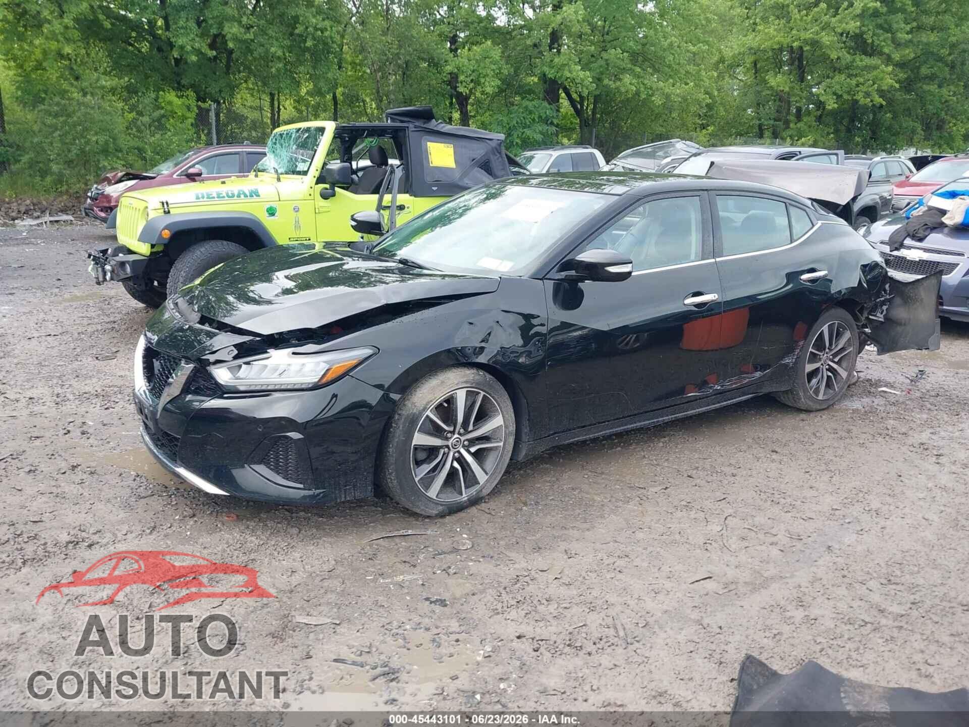 NISSAN MAXIMA 2019 - 1N4AA6AV6KC367152